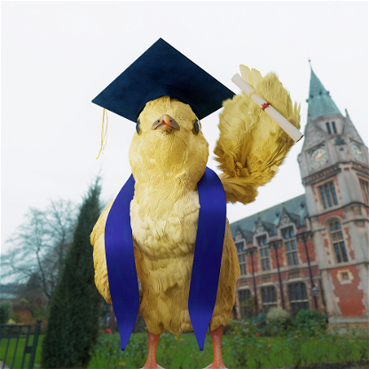 Graduated Chick