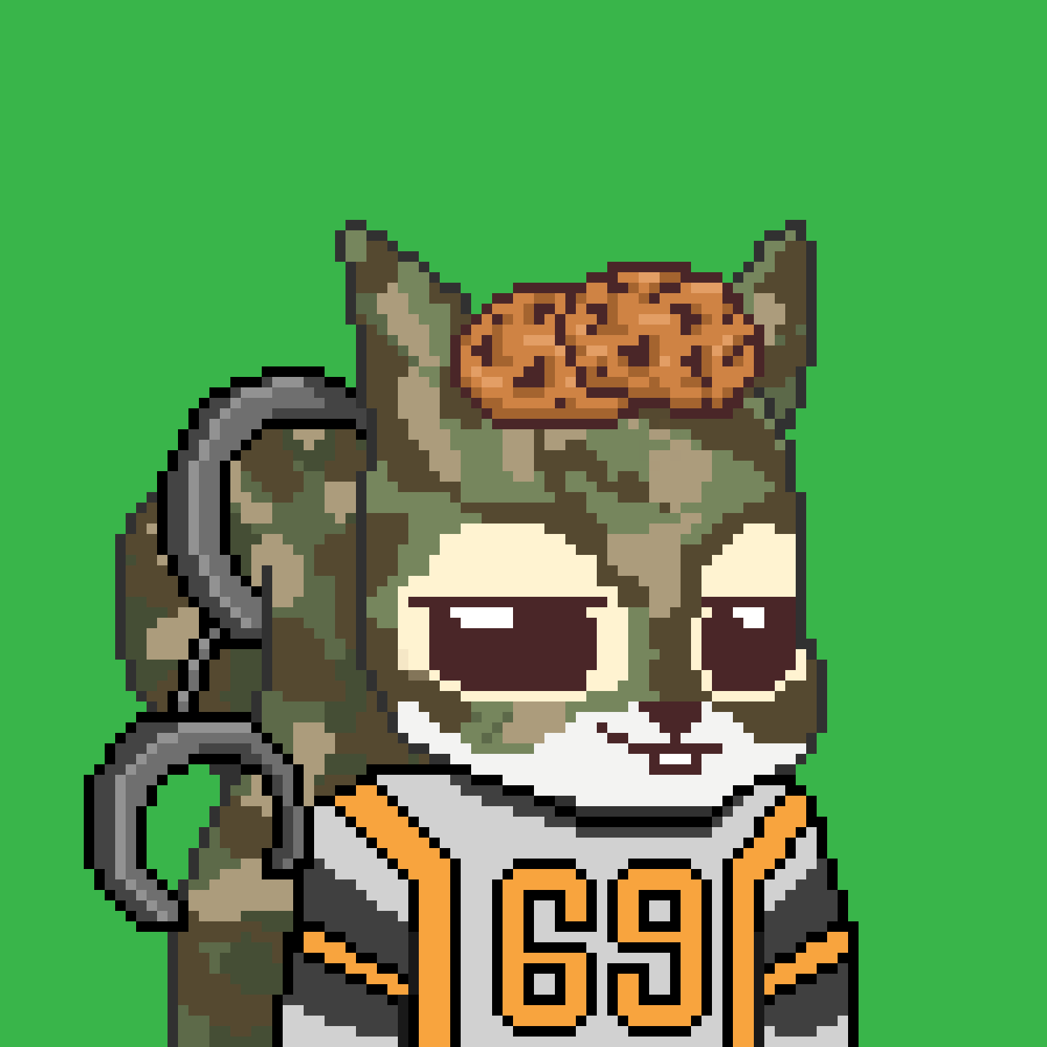Pixel Squirrels #1010 NFT on Algorand