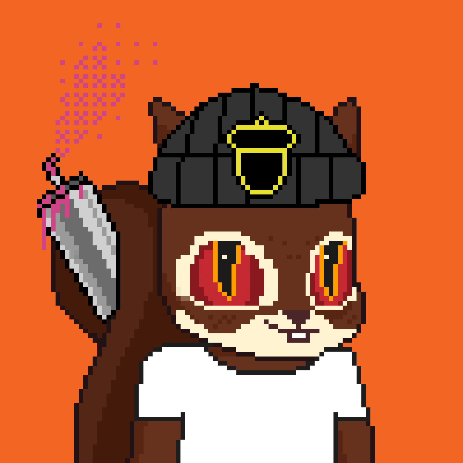 Pixel Squirrels #107 NFT on Algorand