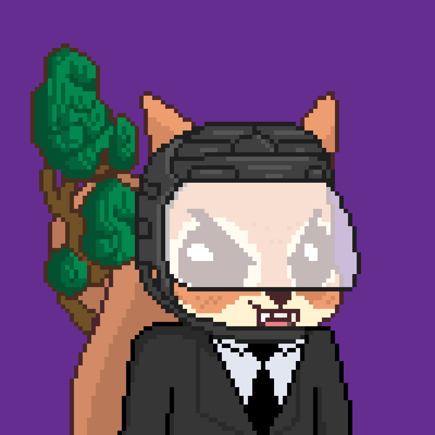 Pixel Squirrels #111 NFT on Algorand