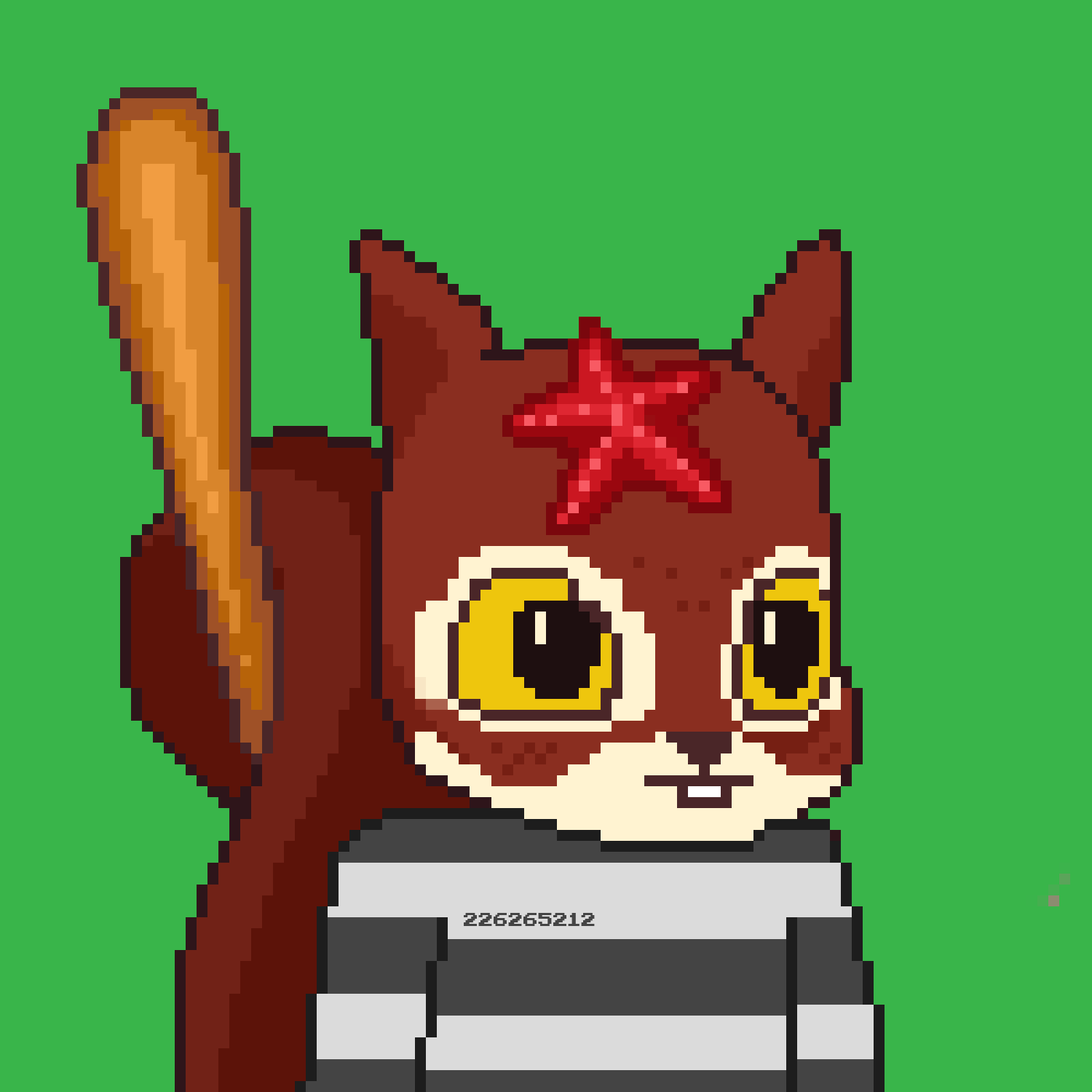 Pixel Squirrels #147 NFT on Algorand