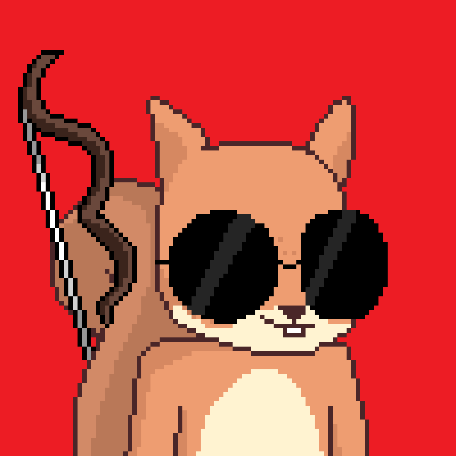 Pixel Squirrels #1560 NFT on Algorand