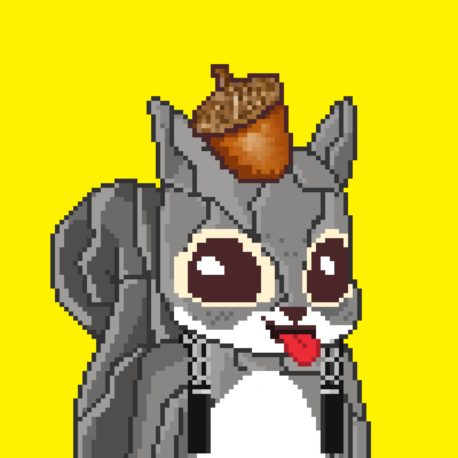 Pixel Squirrels #1602 NFT on Algorand