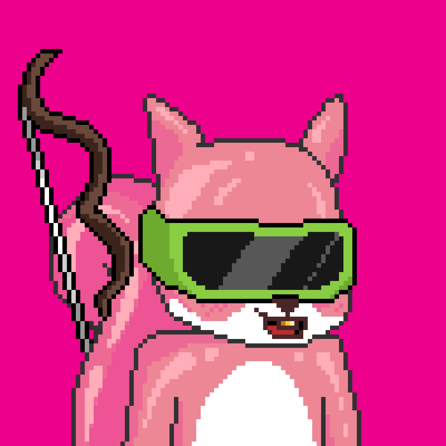 Pixel Squirrels #1676 NFT on Algorand