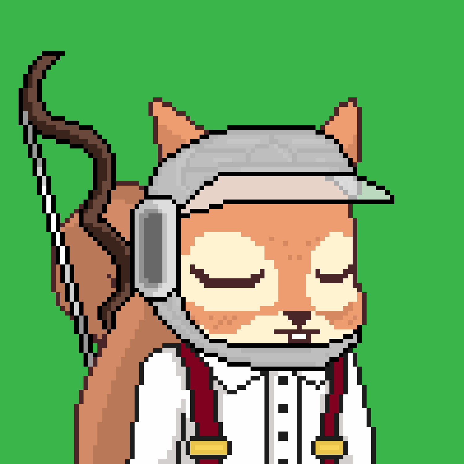 Pixel Squirrels #1760 icon
