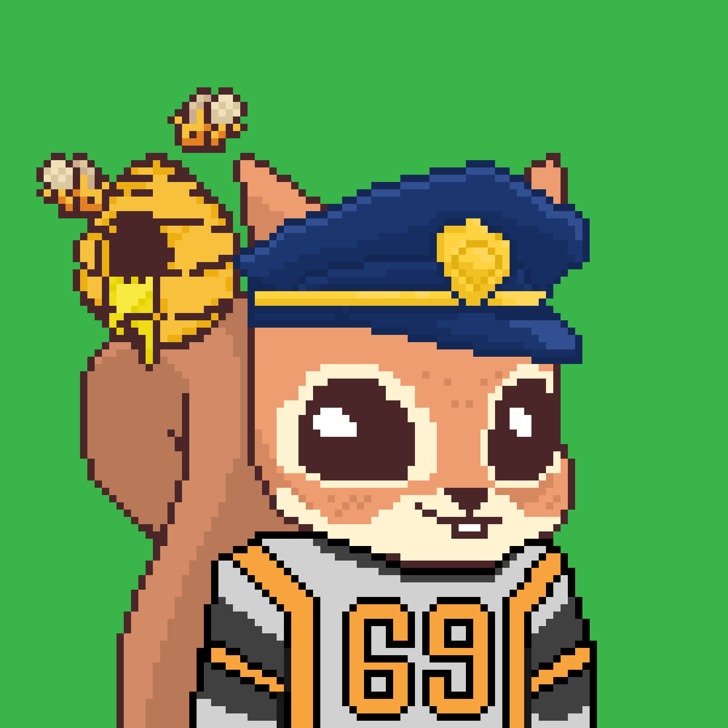 Pixel Squirrels #1804 NFT on Algorand