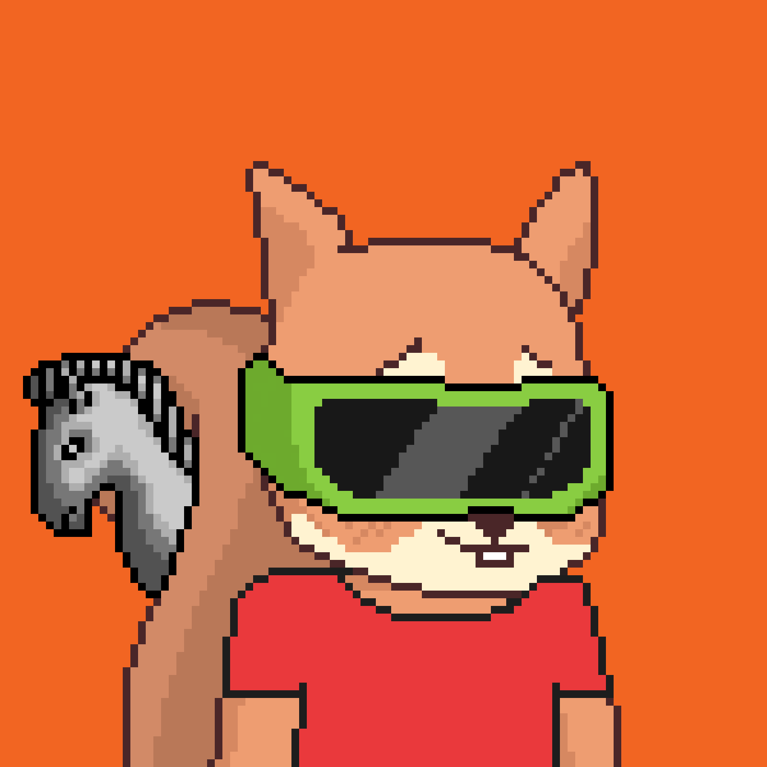 Pixel Squirrels #1993 NFT on Algorand