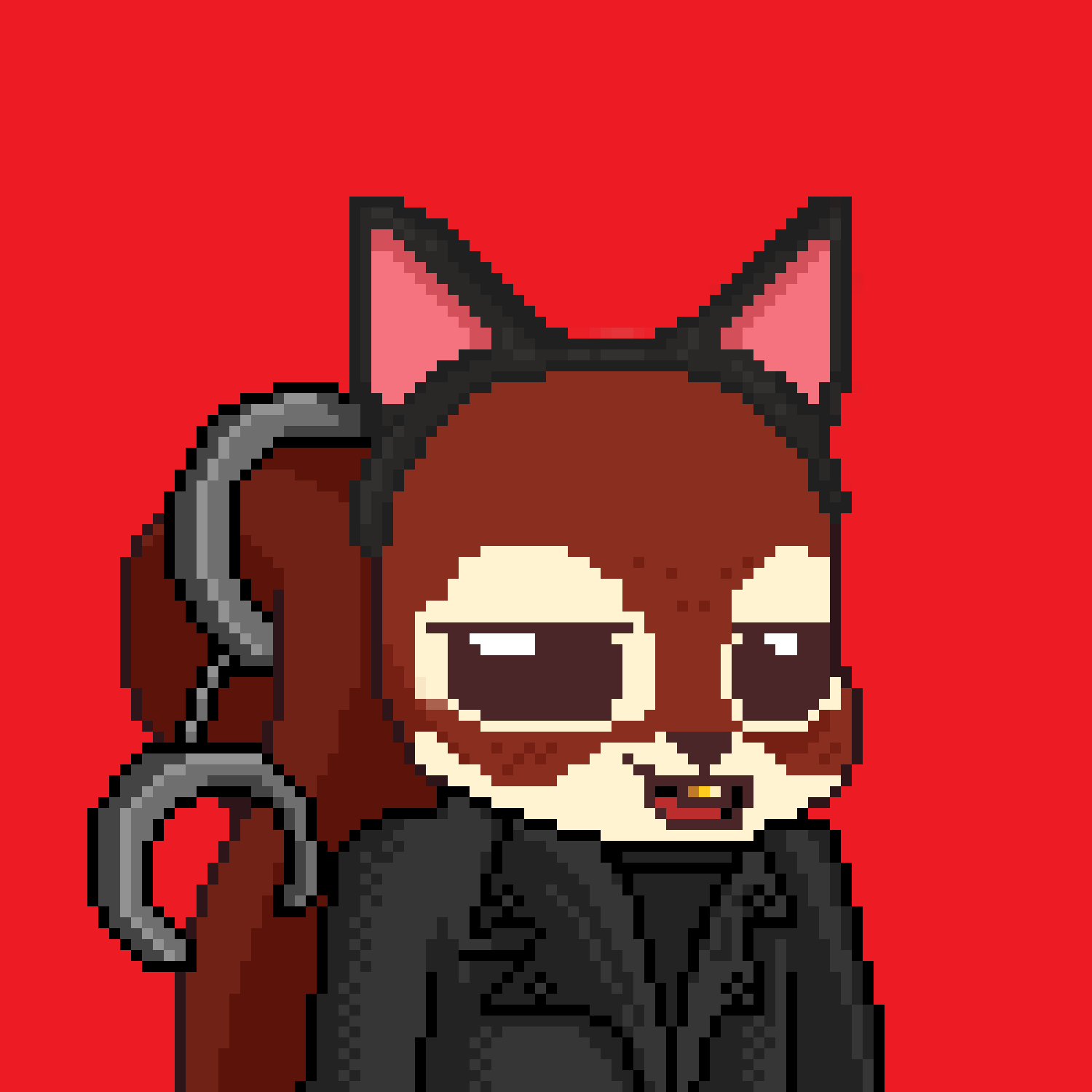 Pixel Squirrels #2042 NFT on Algorand