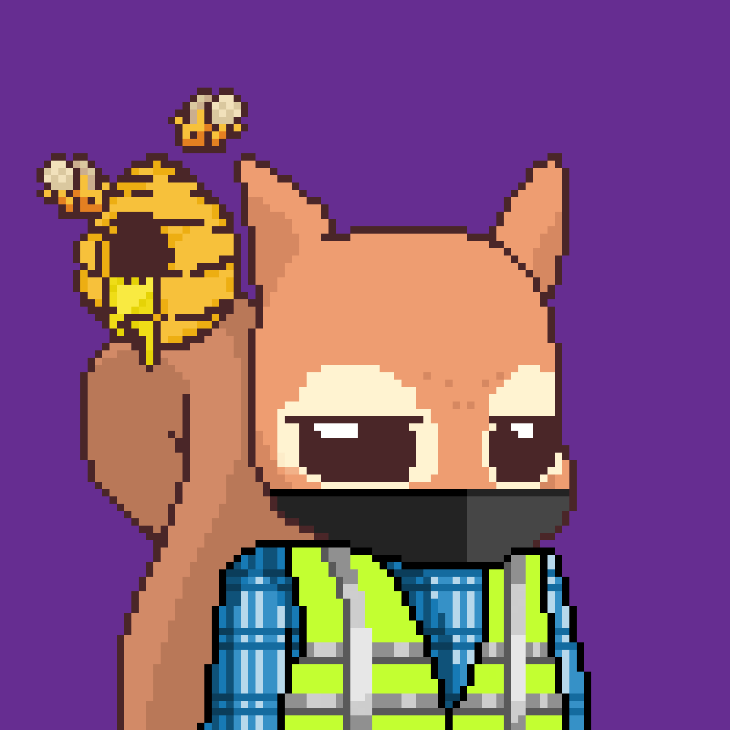 Pixel Squirrels #2169 NFT on Algorand