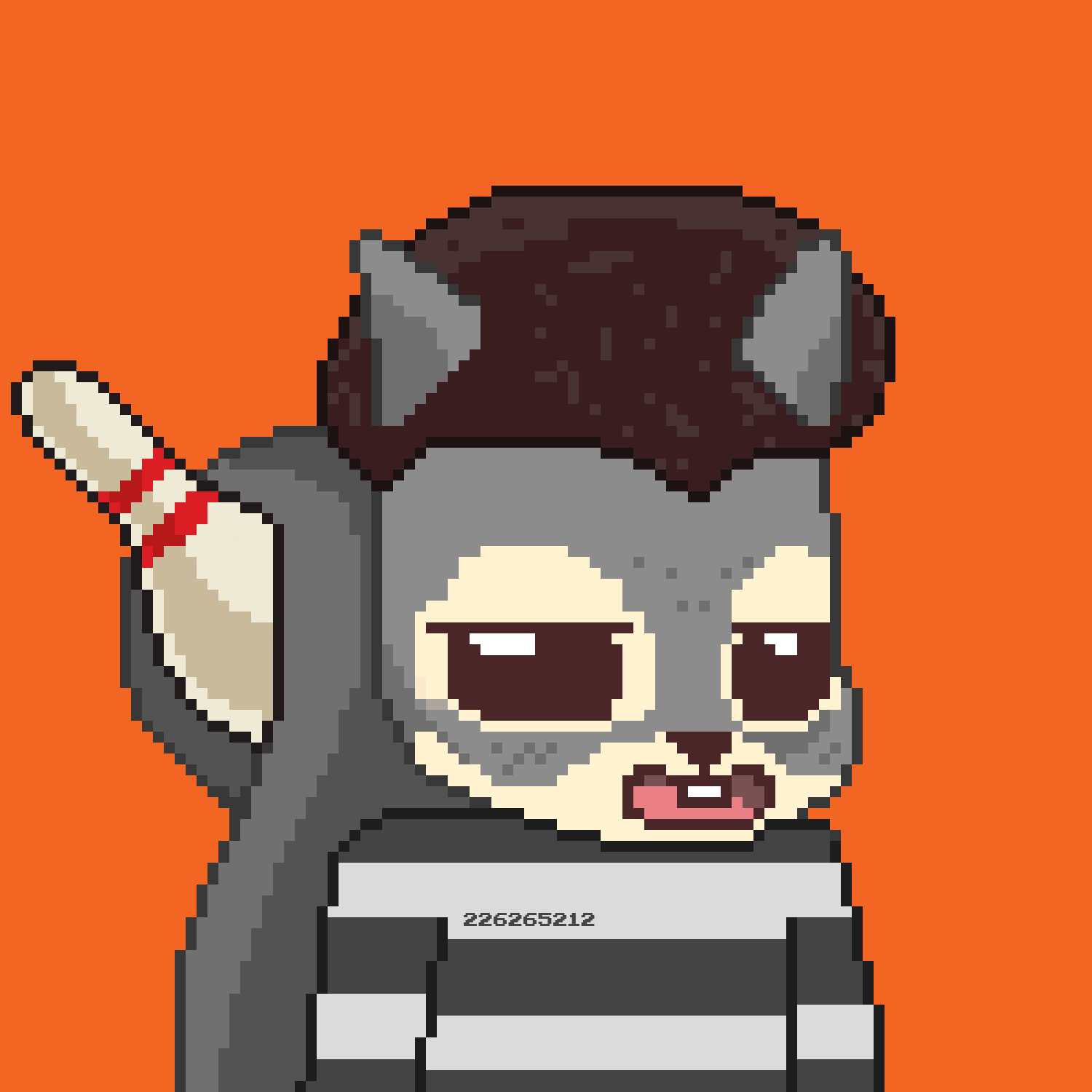 Pixel Squirrels #2270 NFT on Algorand