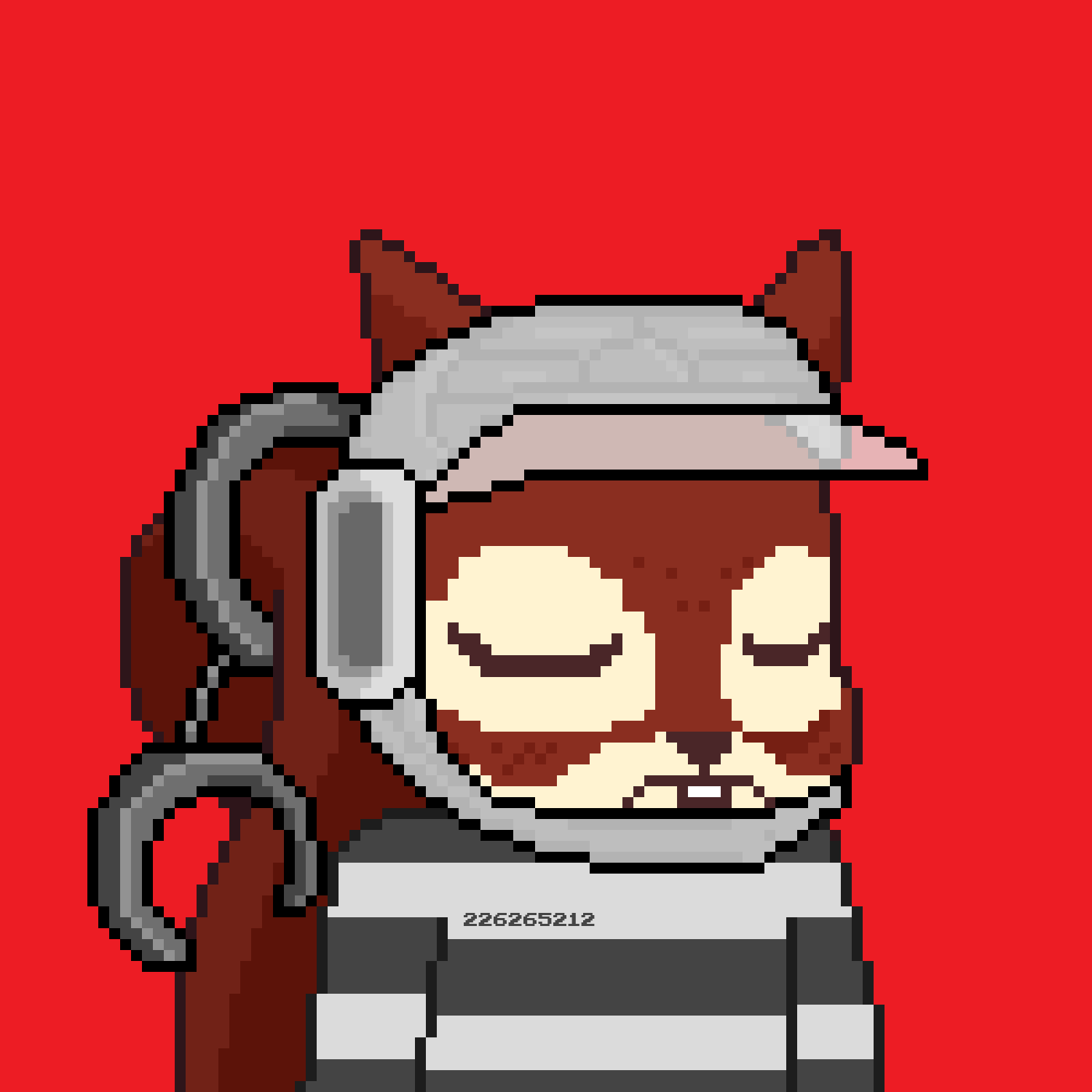 Pixel Squirrels #2466 NFT on Algorand