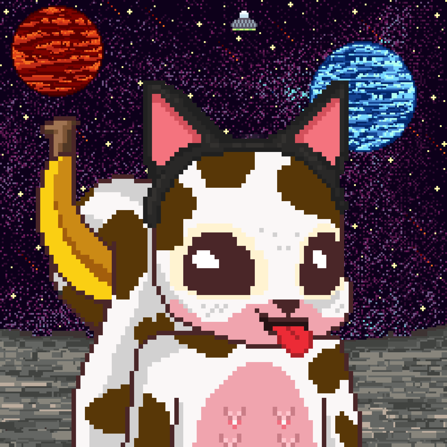 Pixel Squirrels #2542 NFT on Algorand