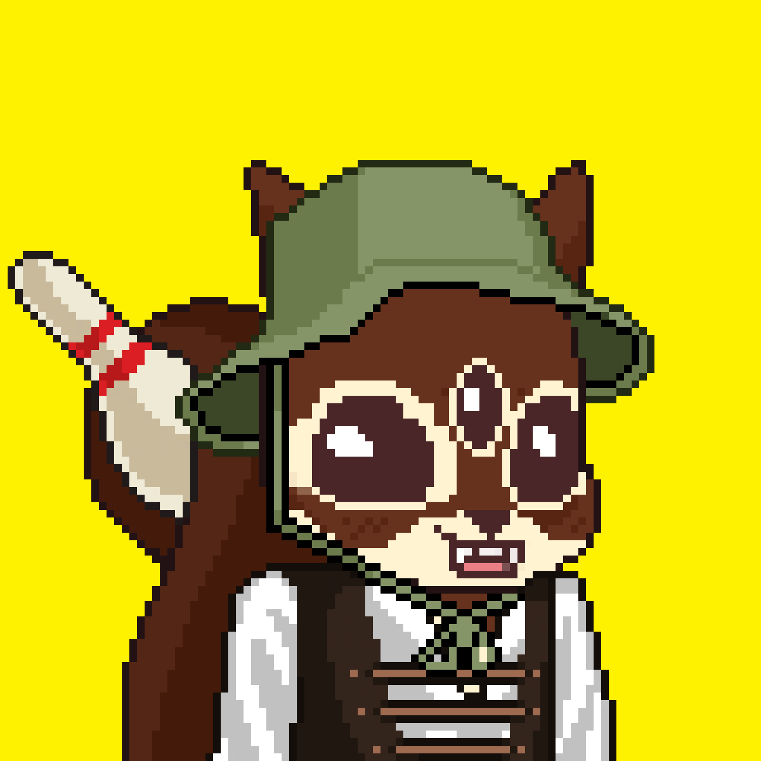 Pixel Squirrels #2655 NFT on Algorand