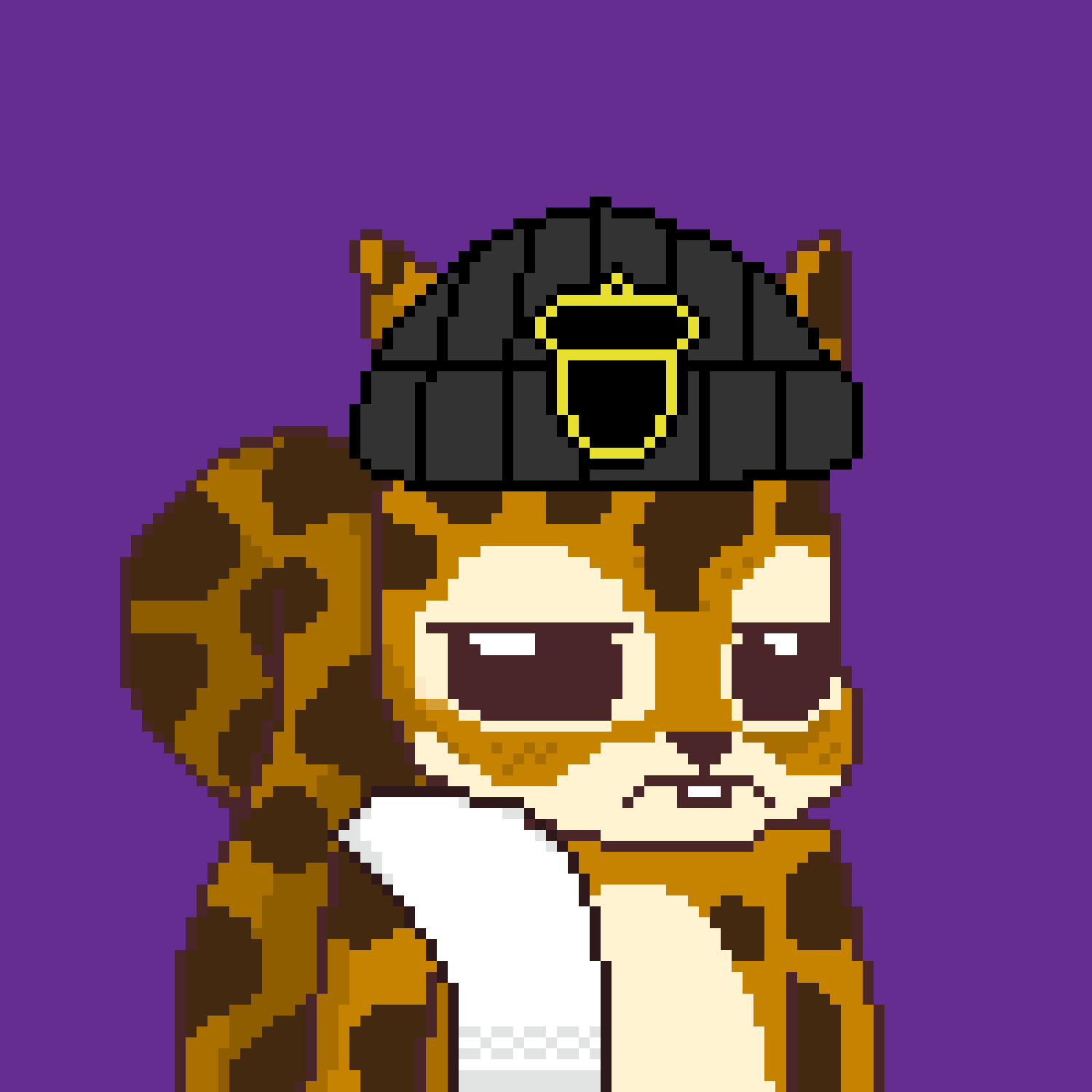 Pixel Squirrels #2675 NFT on Algorand