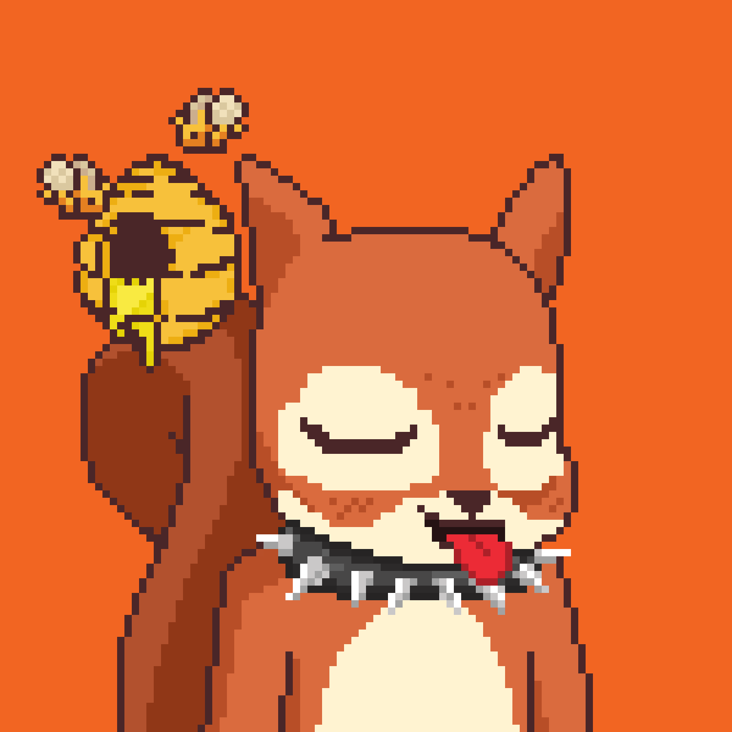 Pixel Squirrels #2710 NFT on Algorand