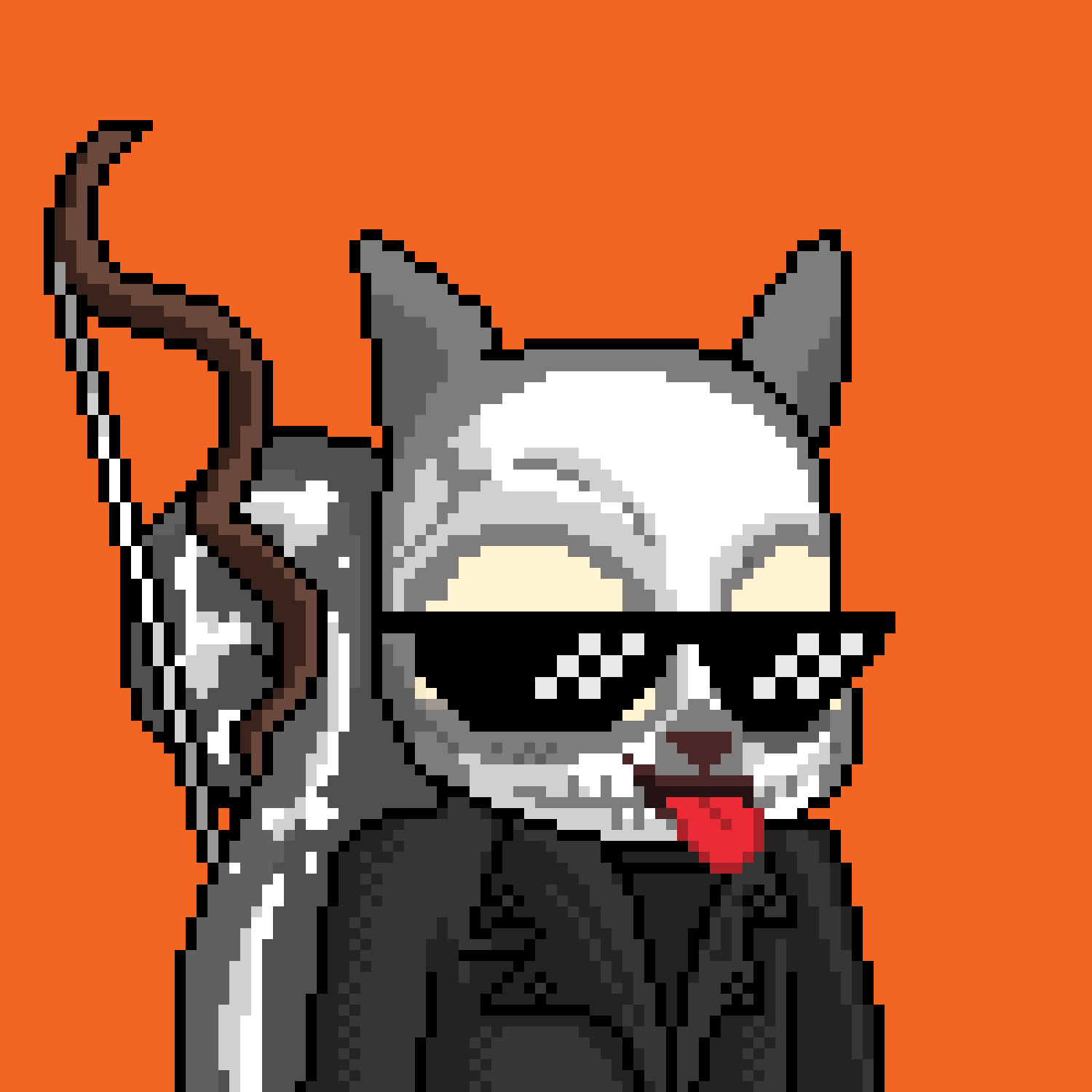 Pixel Squirrels #2719 NFT on Algorand