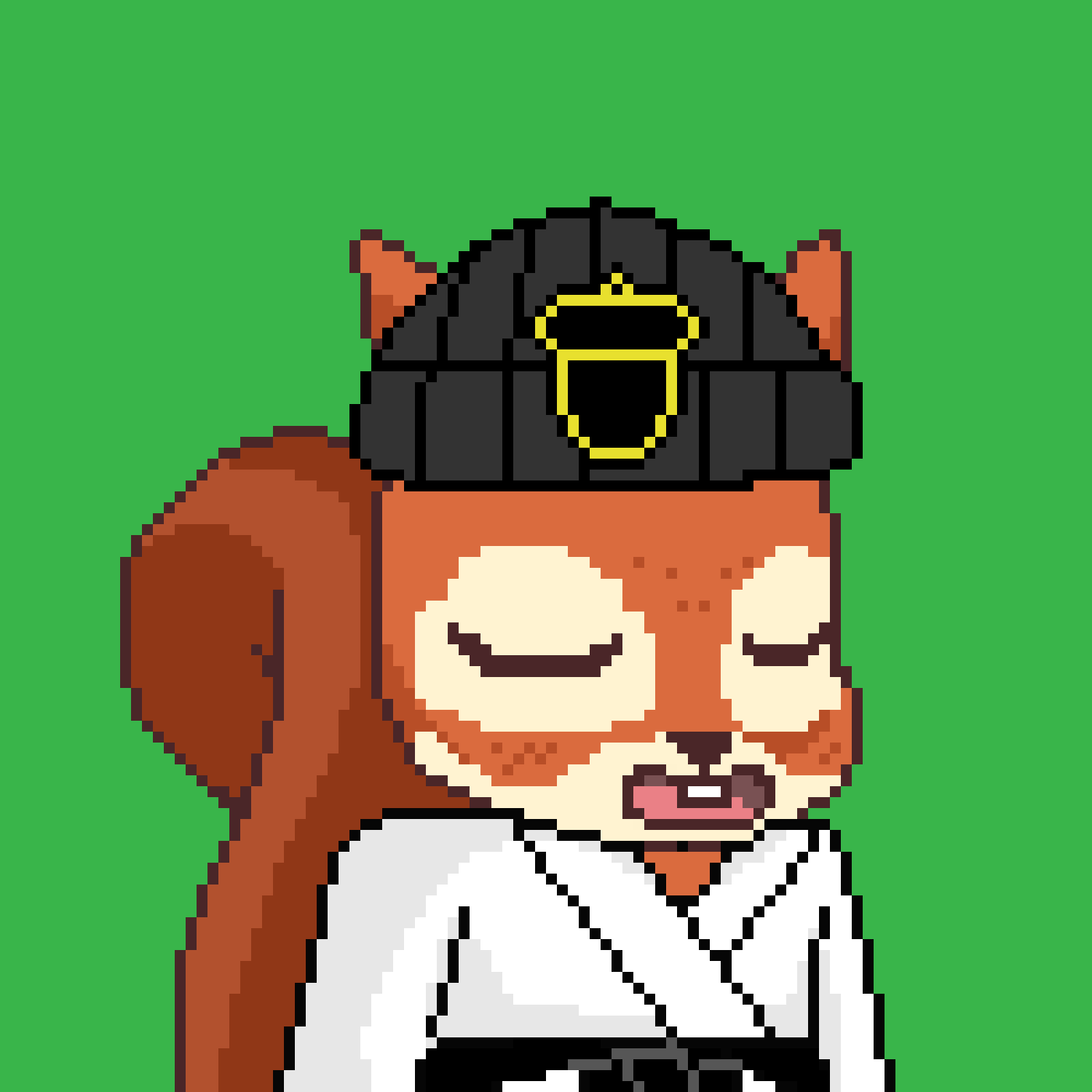 Pixel Squirrels #2960 NFT on Algorand