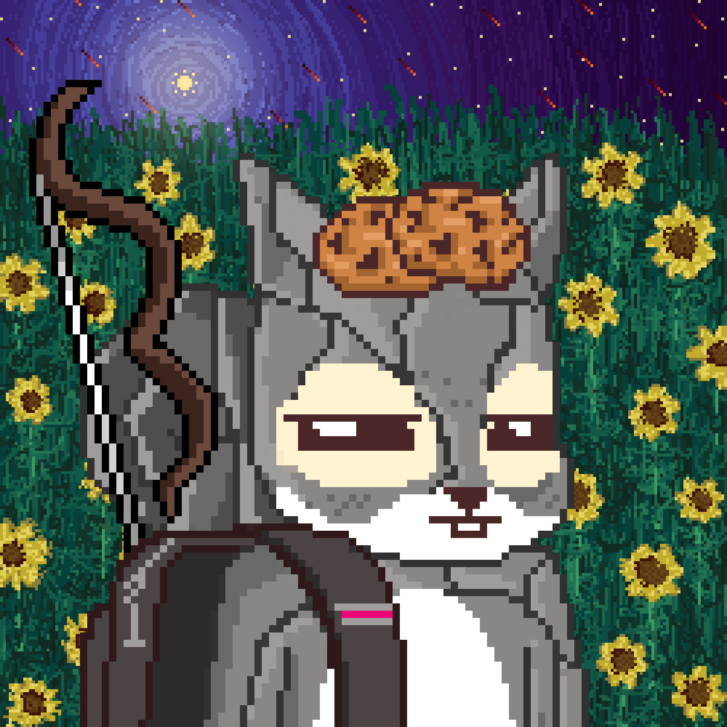 Pixel Squirrels #305 NFT on Algorand