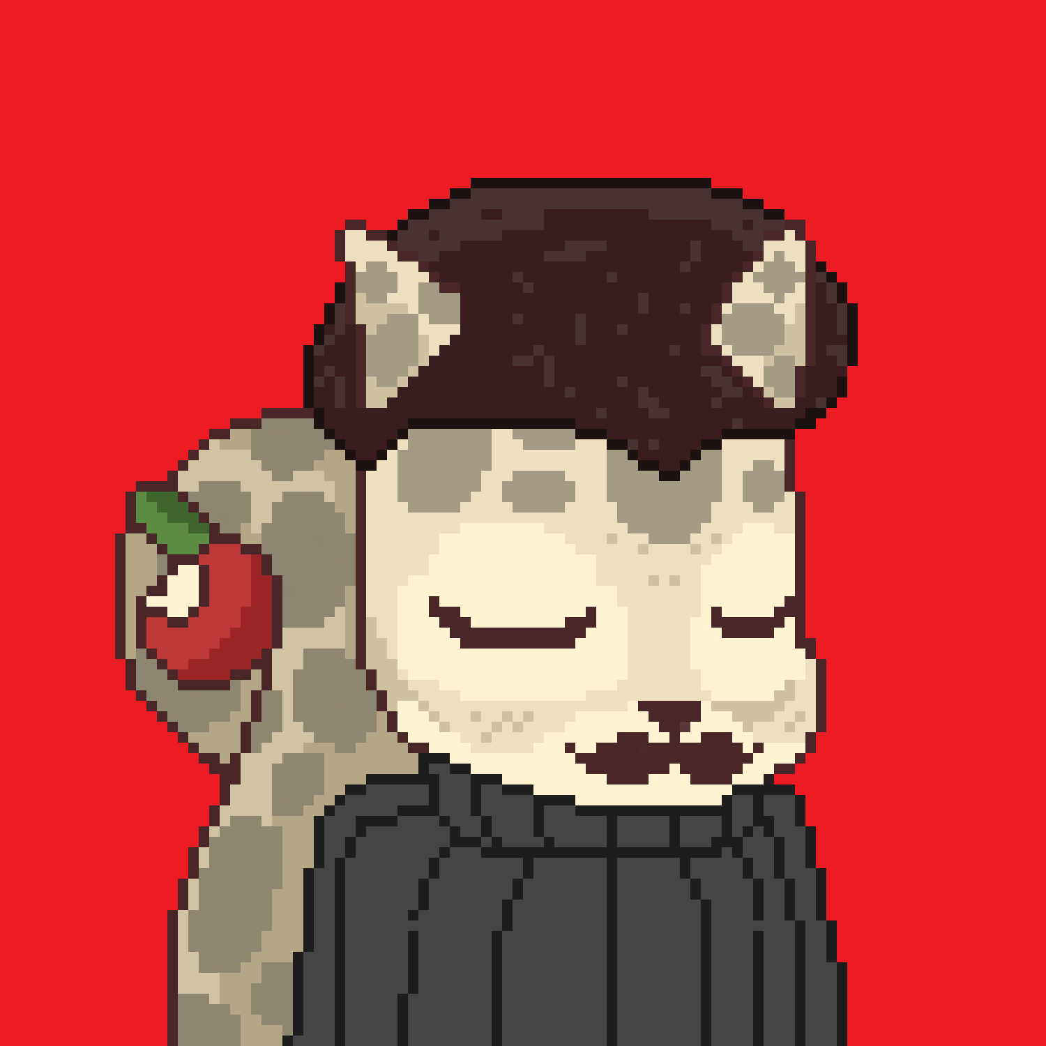 Pixel Squirrels #312 NFT on Algorand