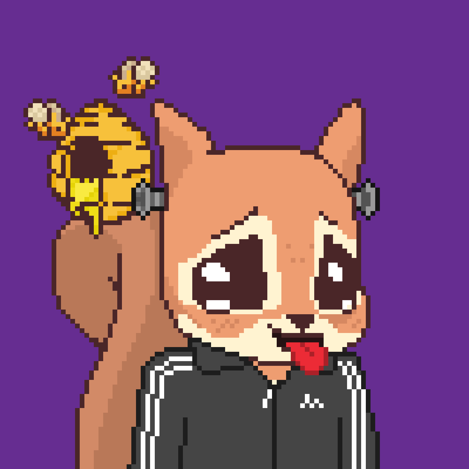 Pixel Squirrels #3270 NFT on Algorand