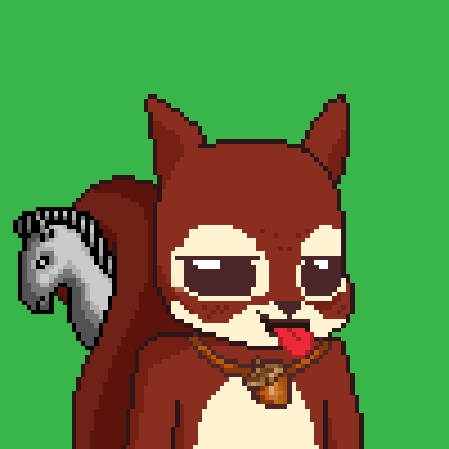 Pixel Squirrels #347 NFT on Algorand