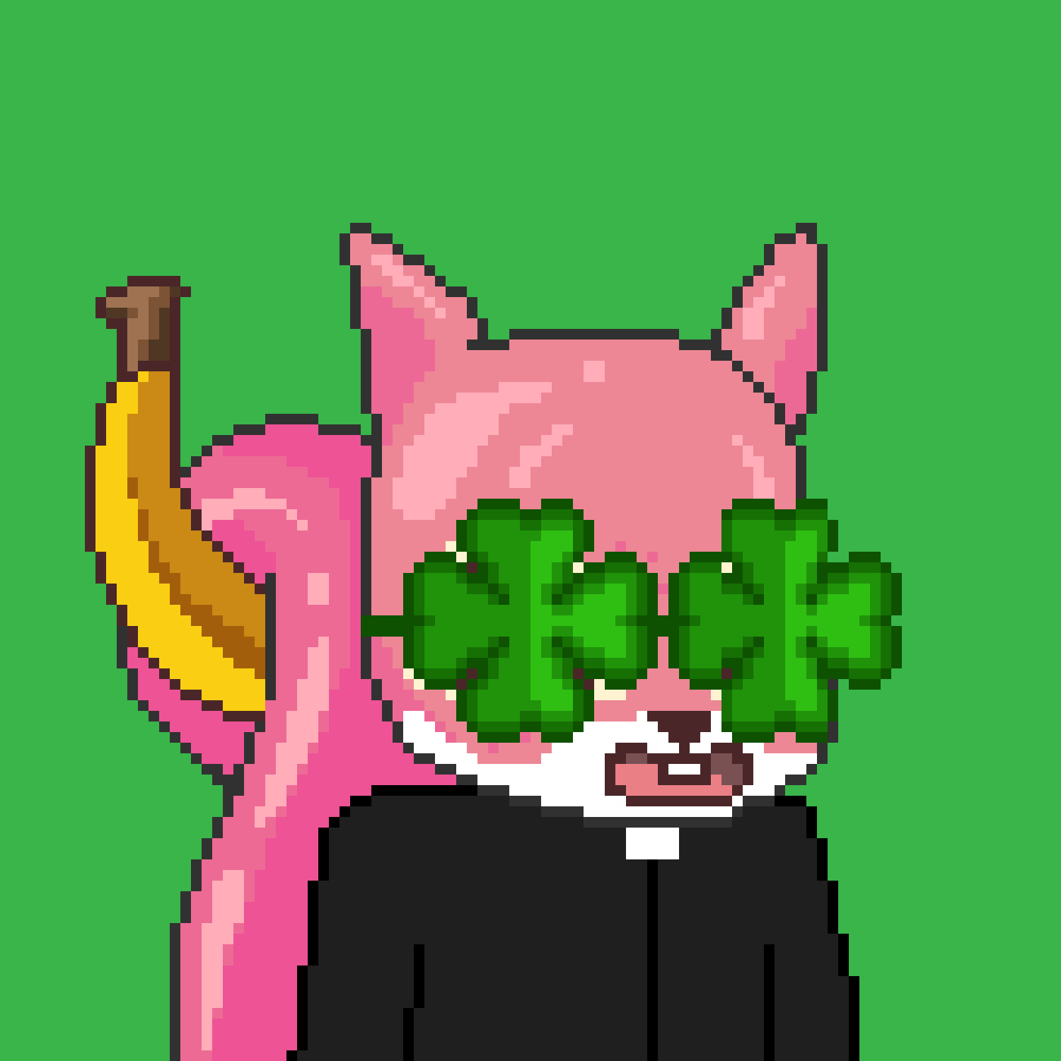 Pixel Squirrels #3529 NFT on Algorand