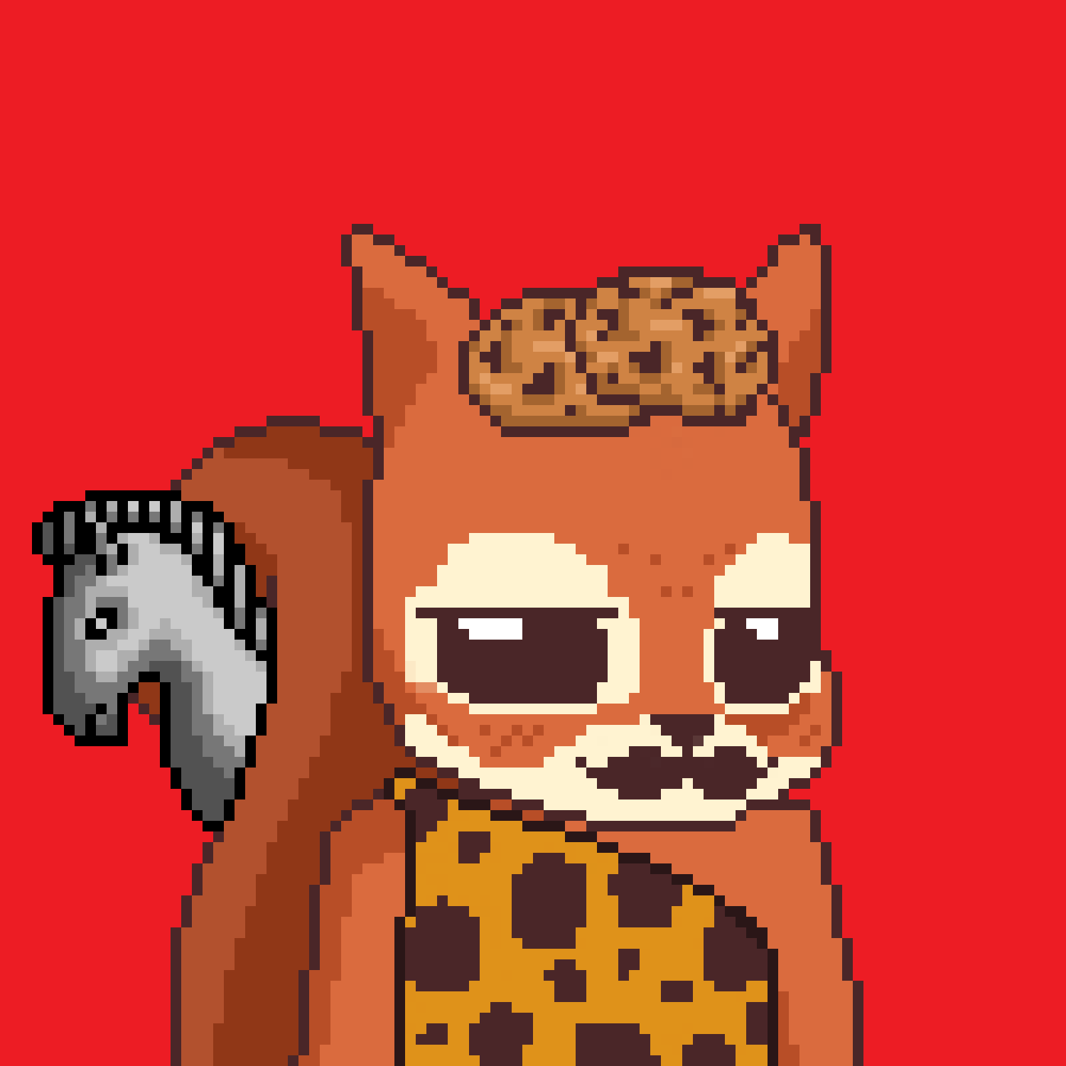 Pixel Squirrels #3794 NFT on Algorand