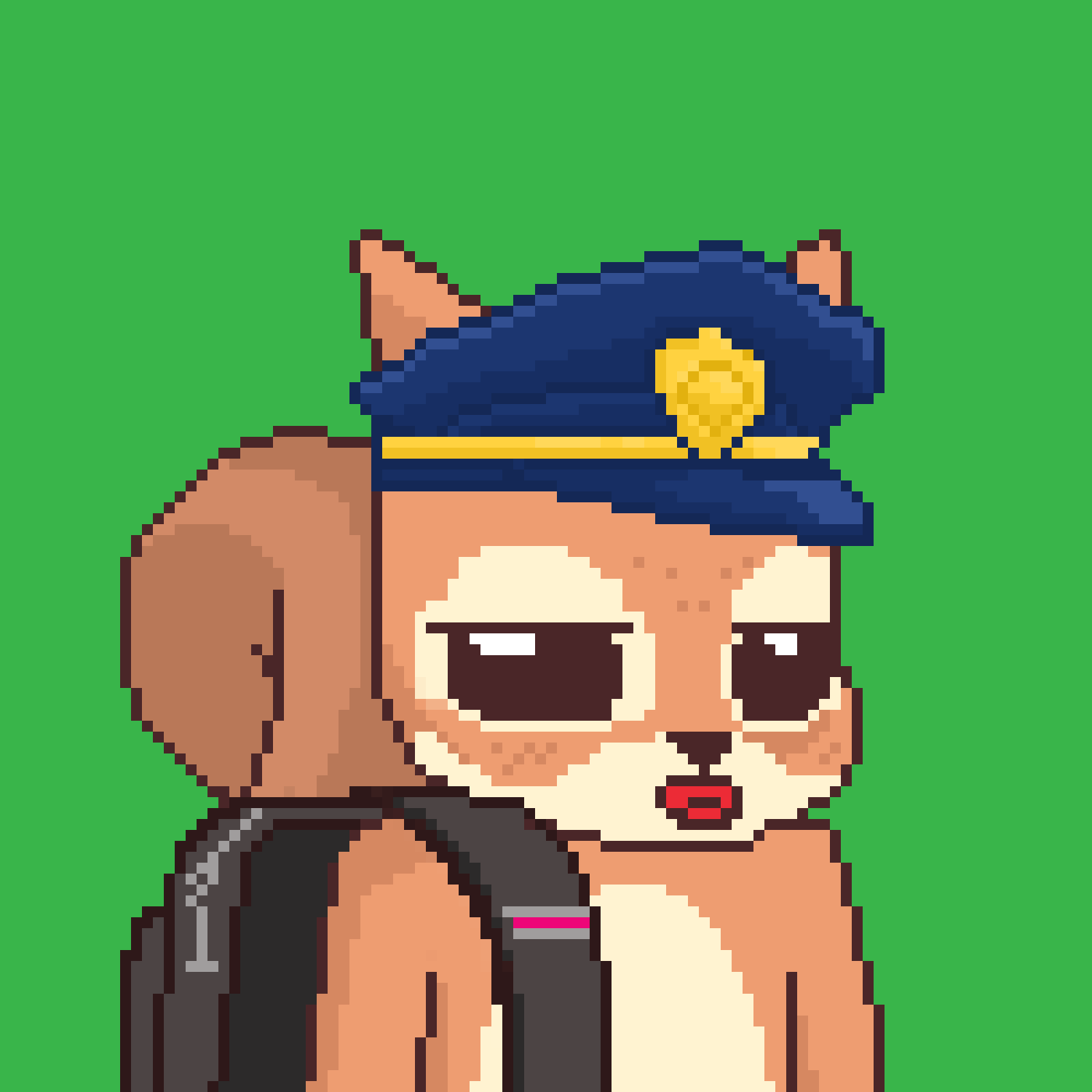 Pixel Squirrels #3804 NFT on Algorand