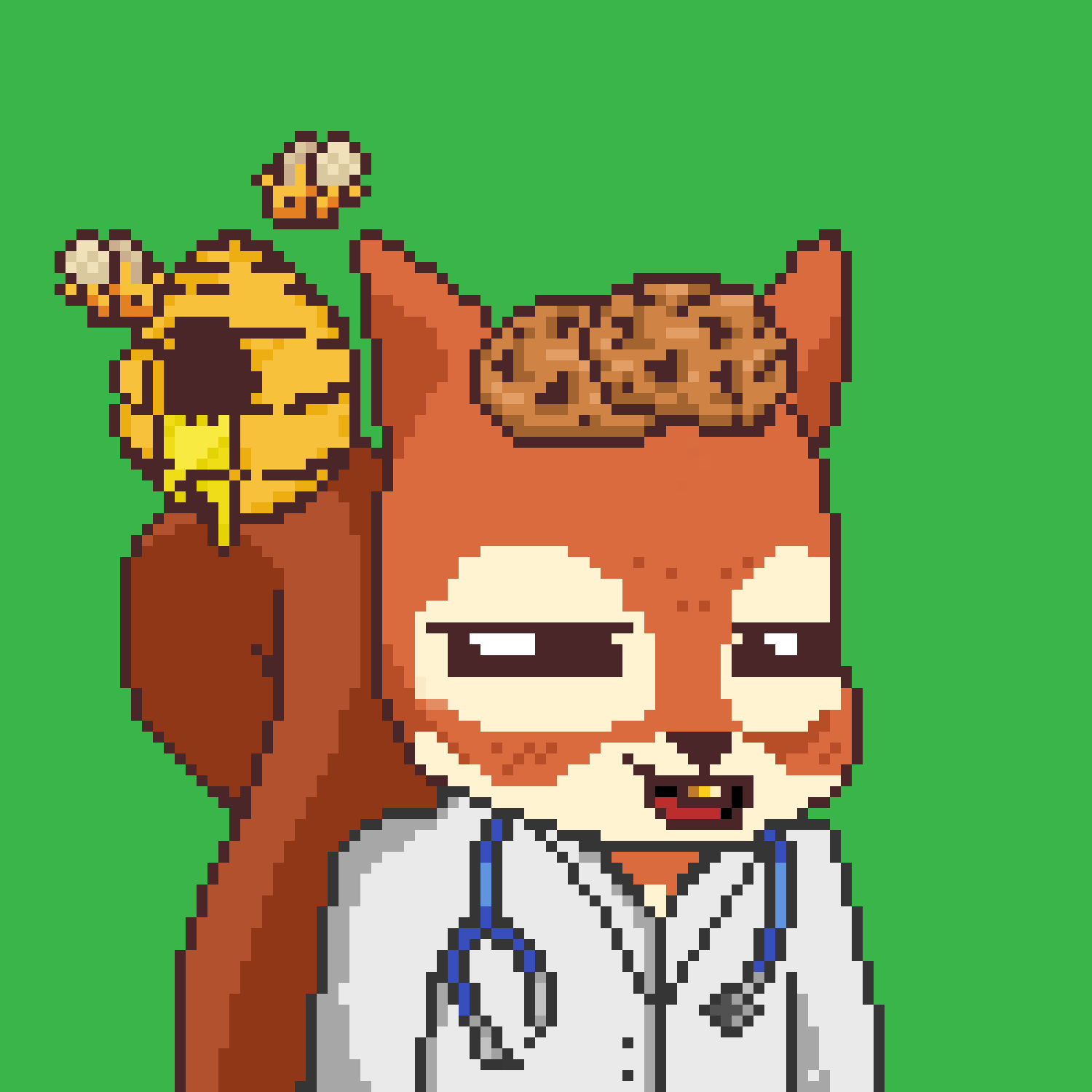 Pixel Squirrels #4041 NFT on Algorand