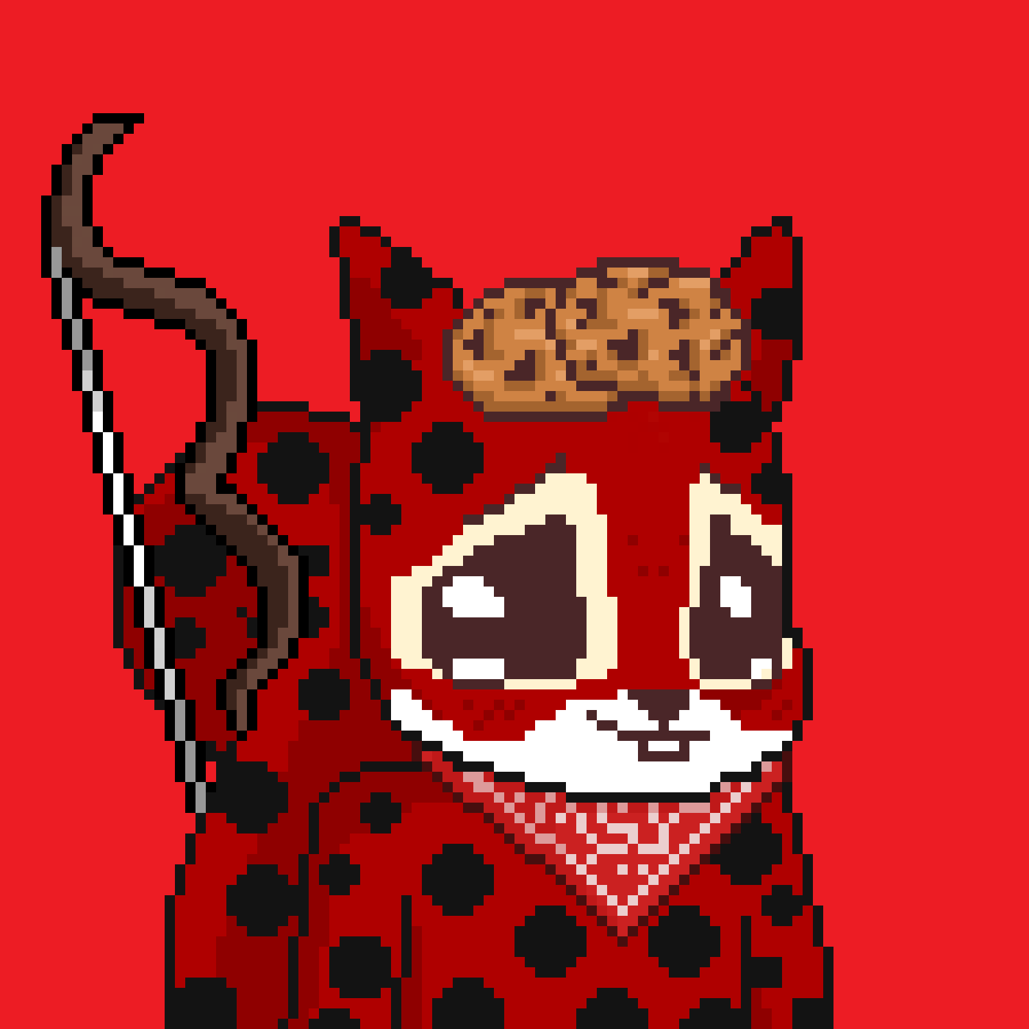 Pixel Squirrels #406 NFT on Algorand