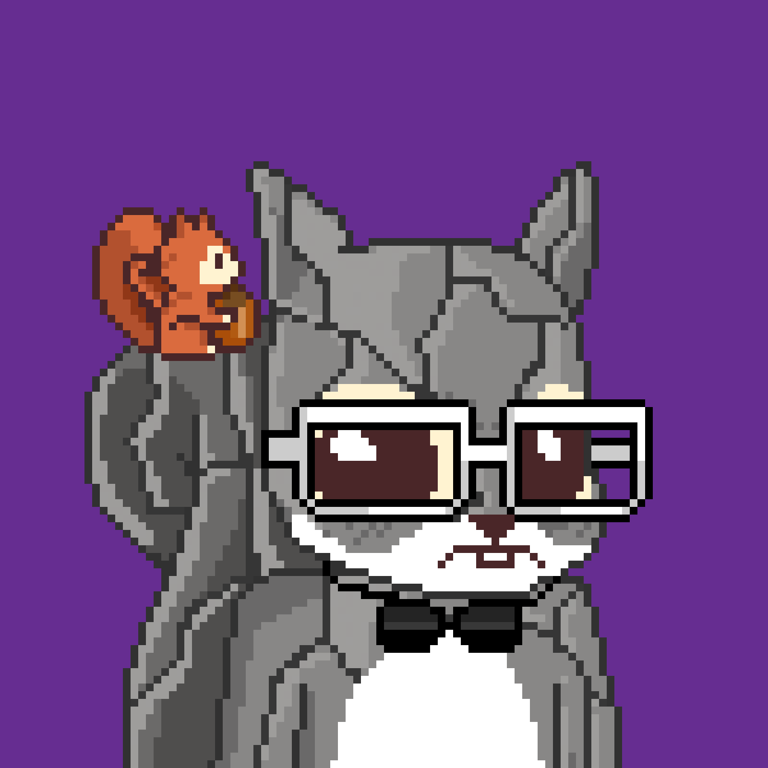 Pixel Squirrels #4172 NFT on Algorand