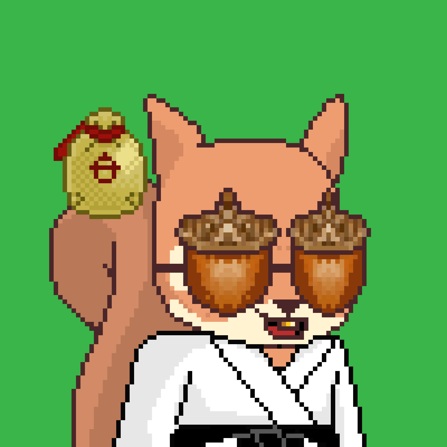 Pixel Squirrels #4599 NFT on Algorand