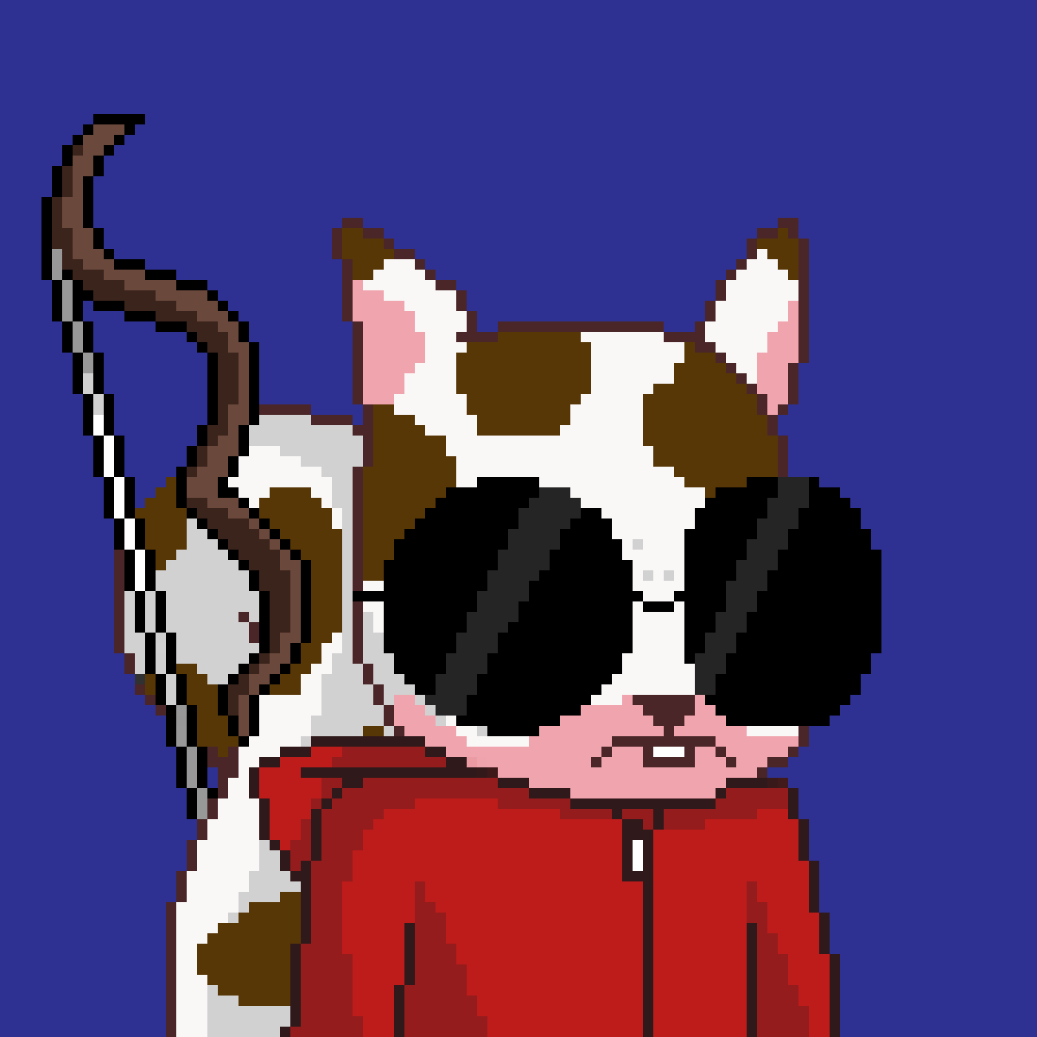 Pixel Squirrels #4610 NFT on Algorand