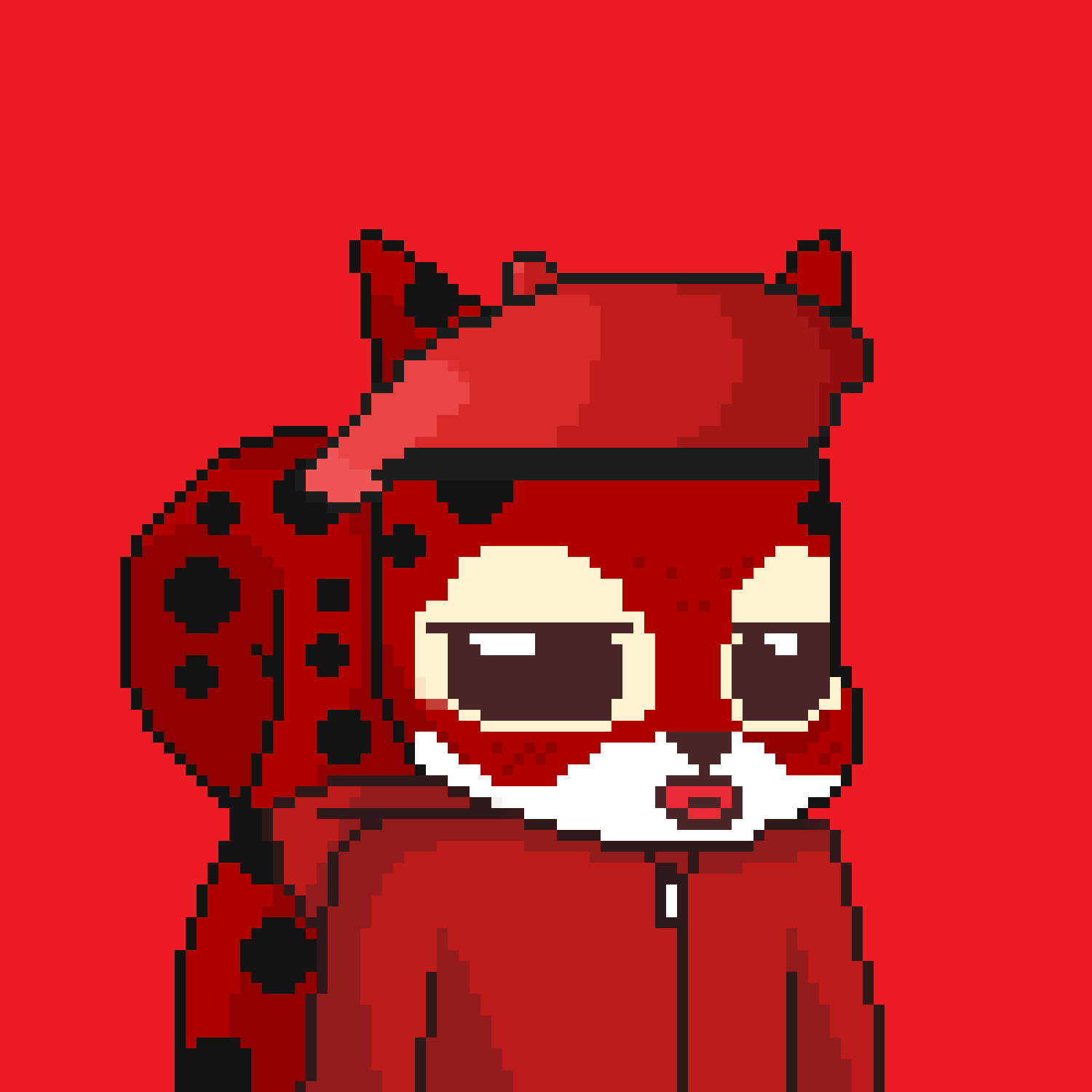 Pixel Squirrels #4611 NFT on Algorand