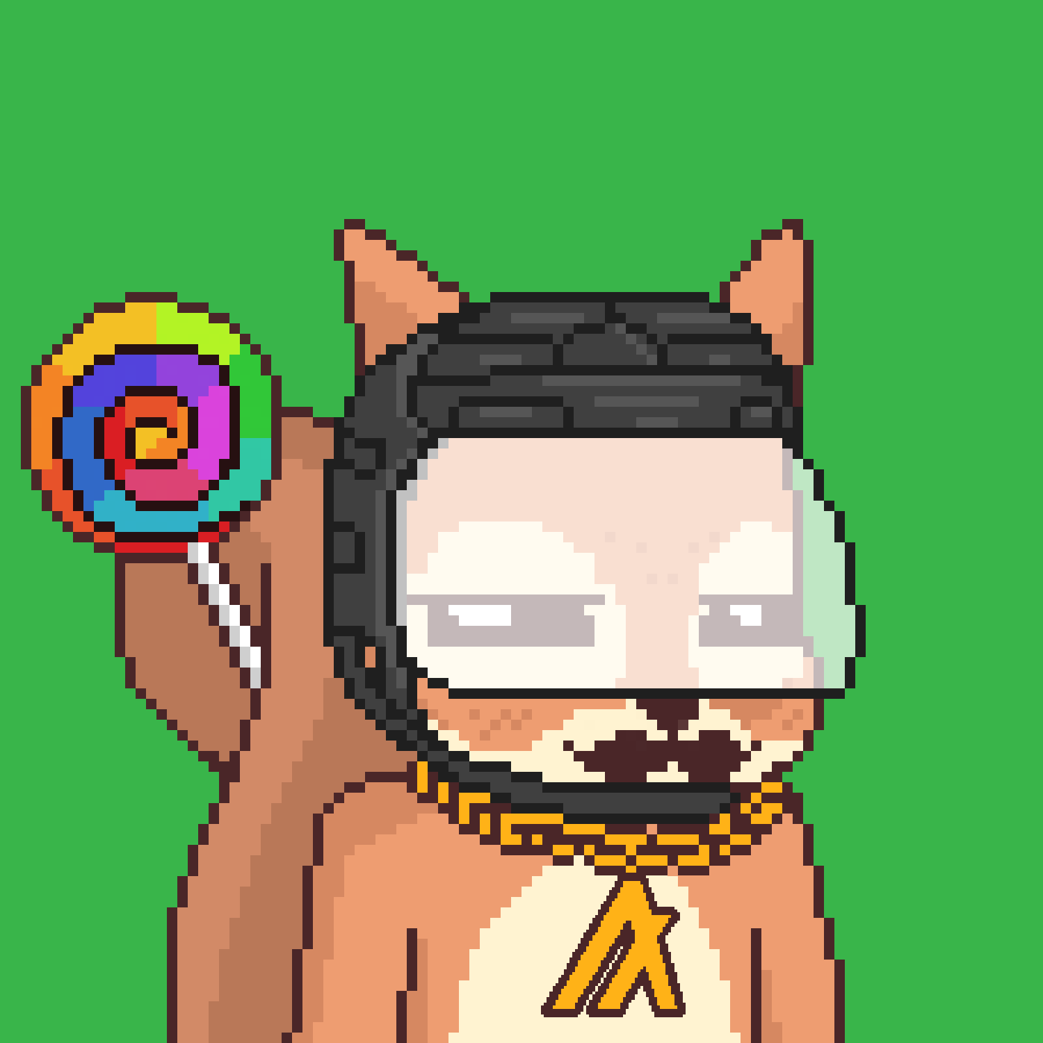 Pixel Squirrels #4678 NFT on Algorand