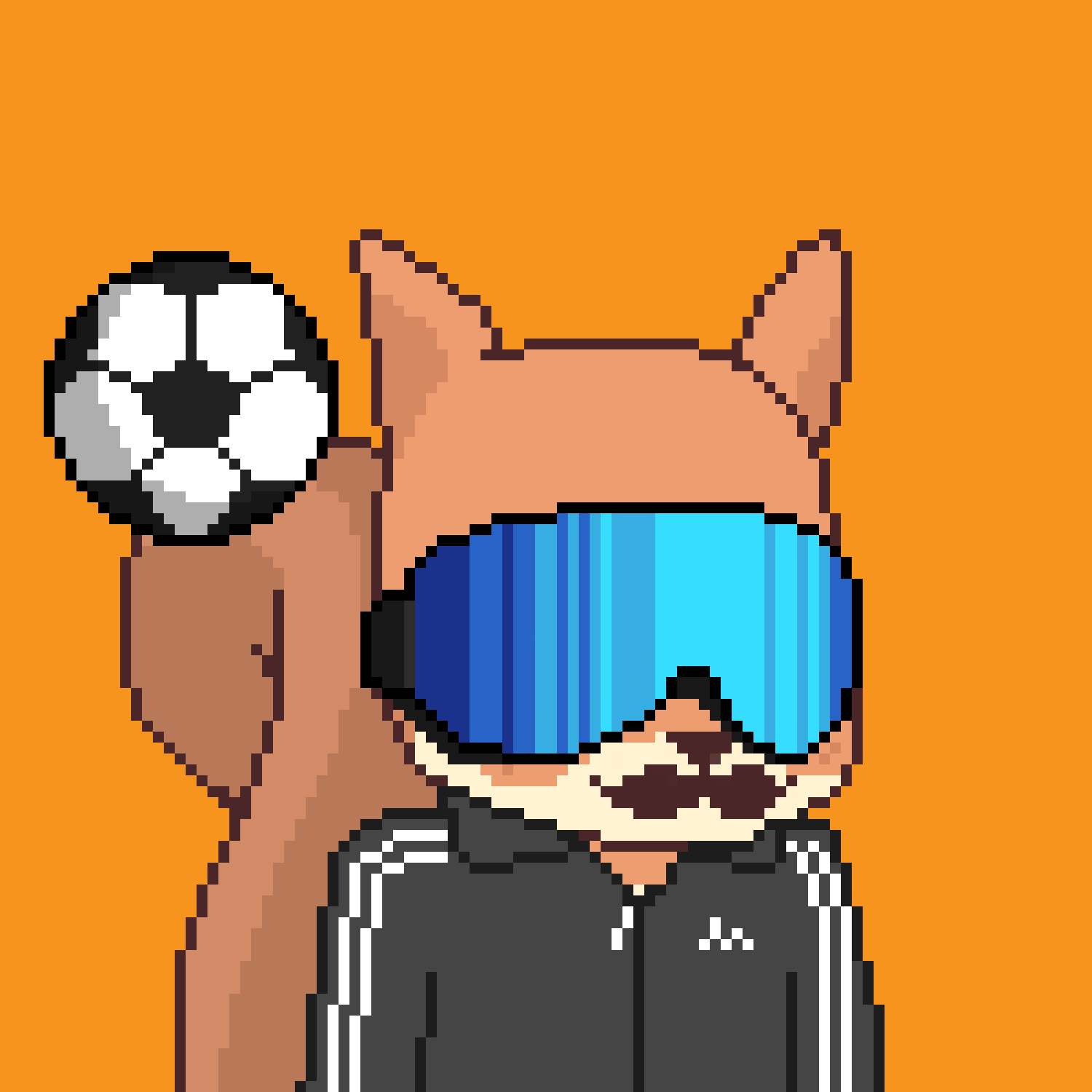 Pixel Squirrels #47 NFT on Algorand