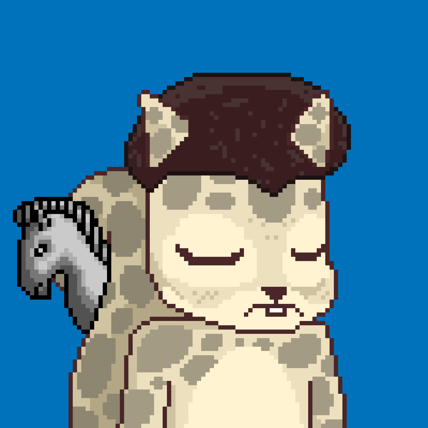 Pixel Squirrels #5013 NFT on Algorand