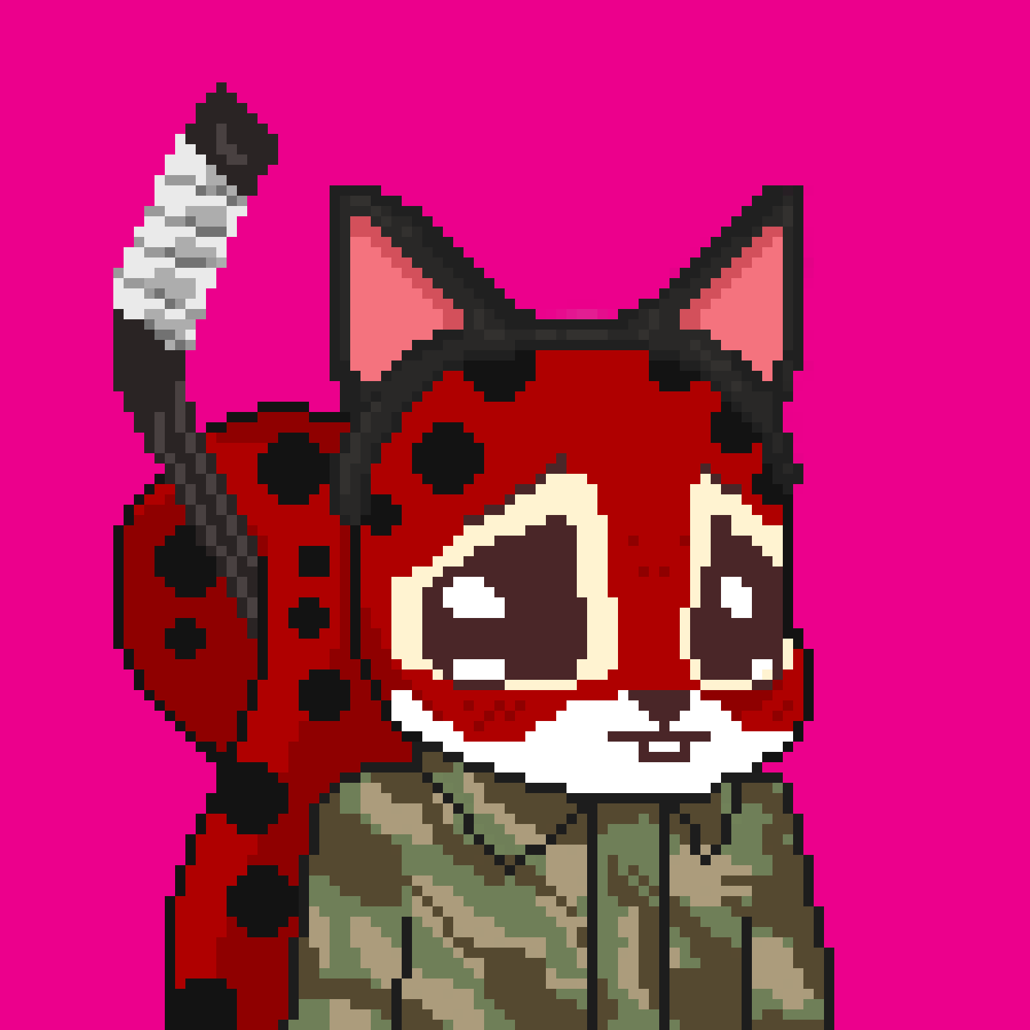 Pixel Squirrels #5049 NFT on Algorand