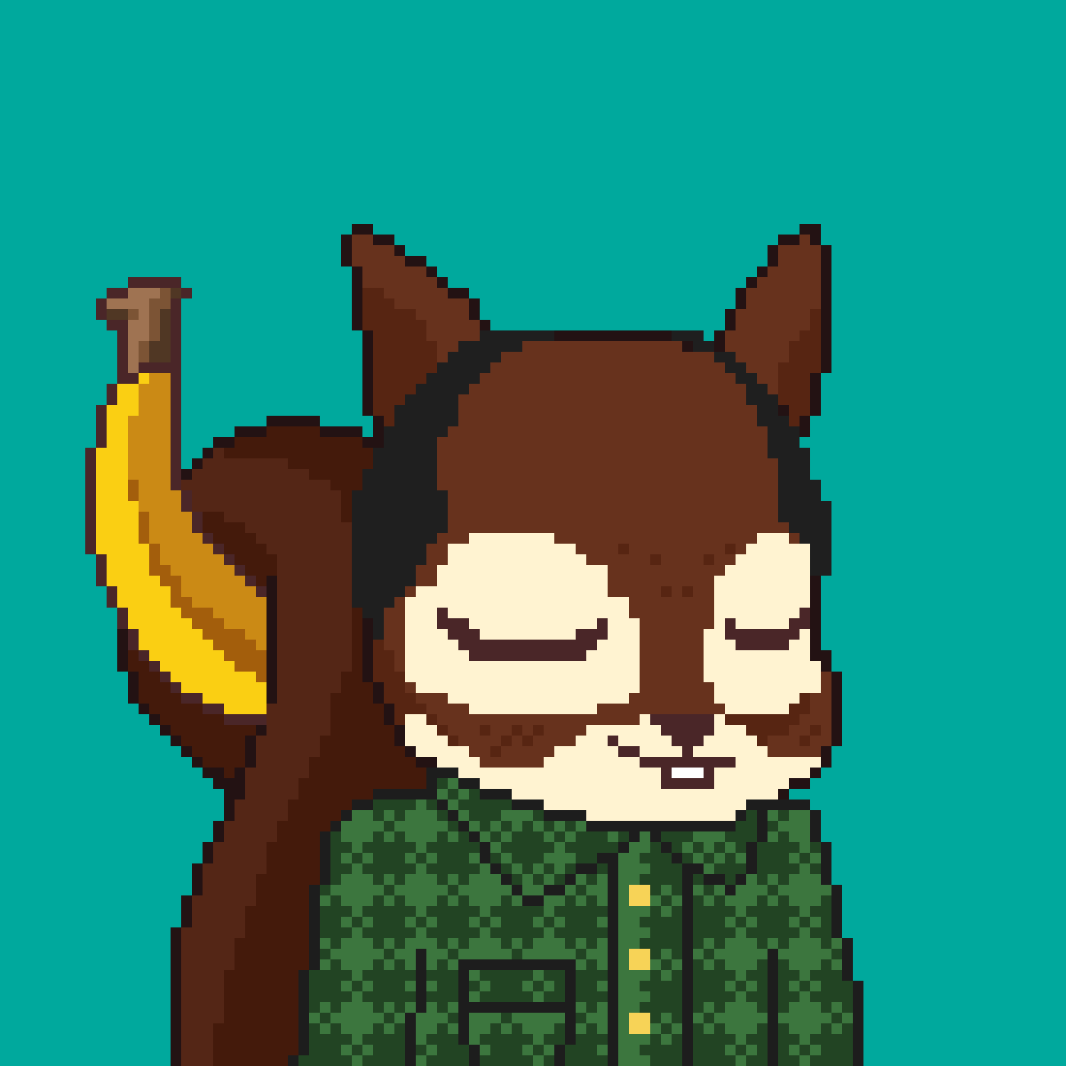 Pixel Squirrels #5091 NFT on Algorand