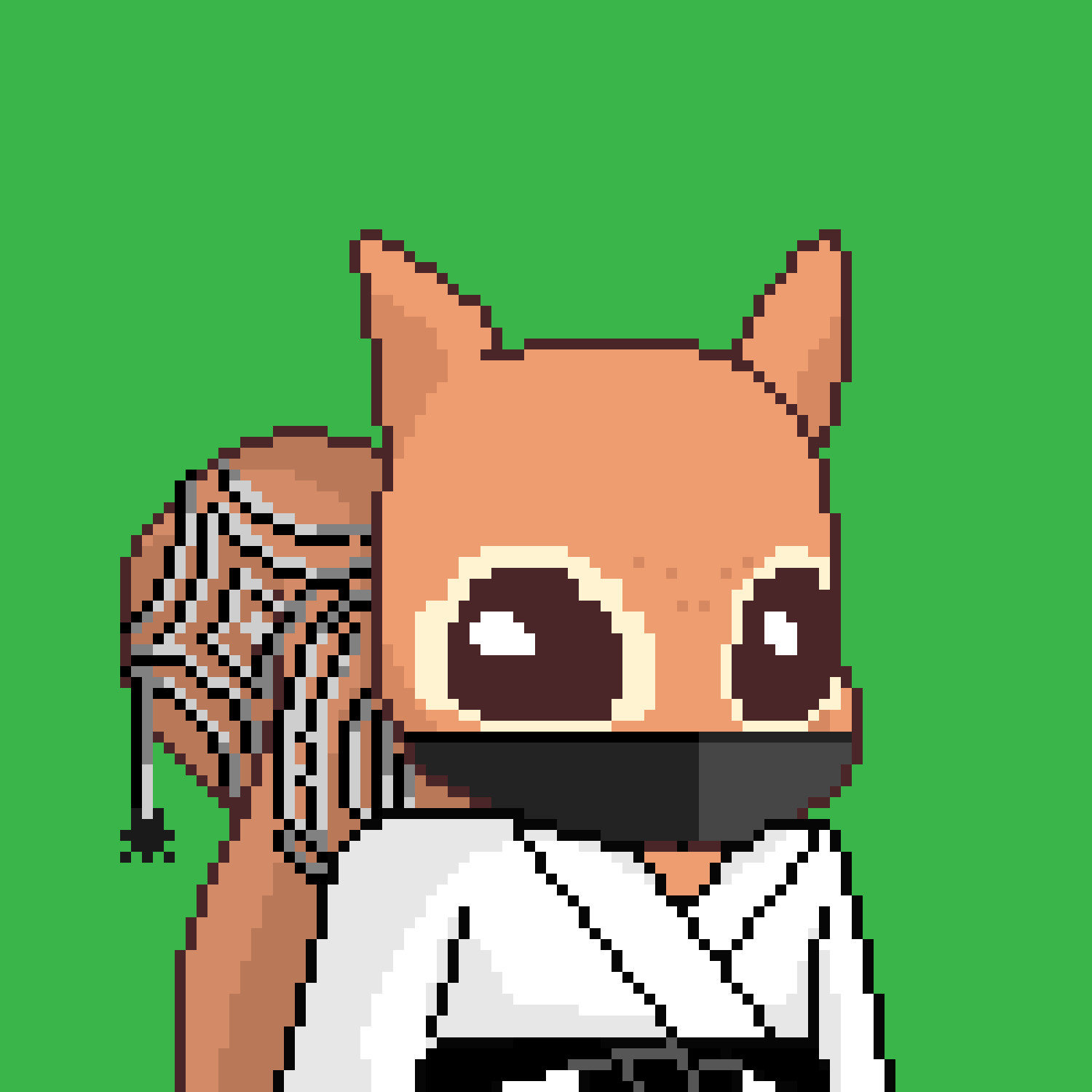 Pixel Squirrels #5251 NFT on Algorand