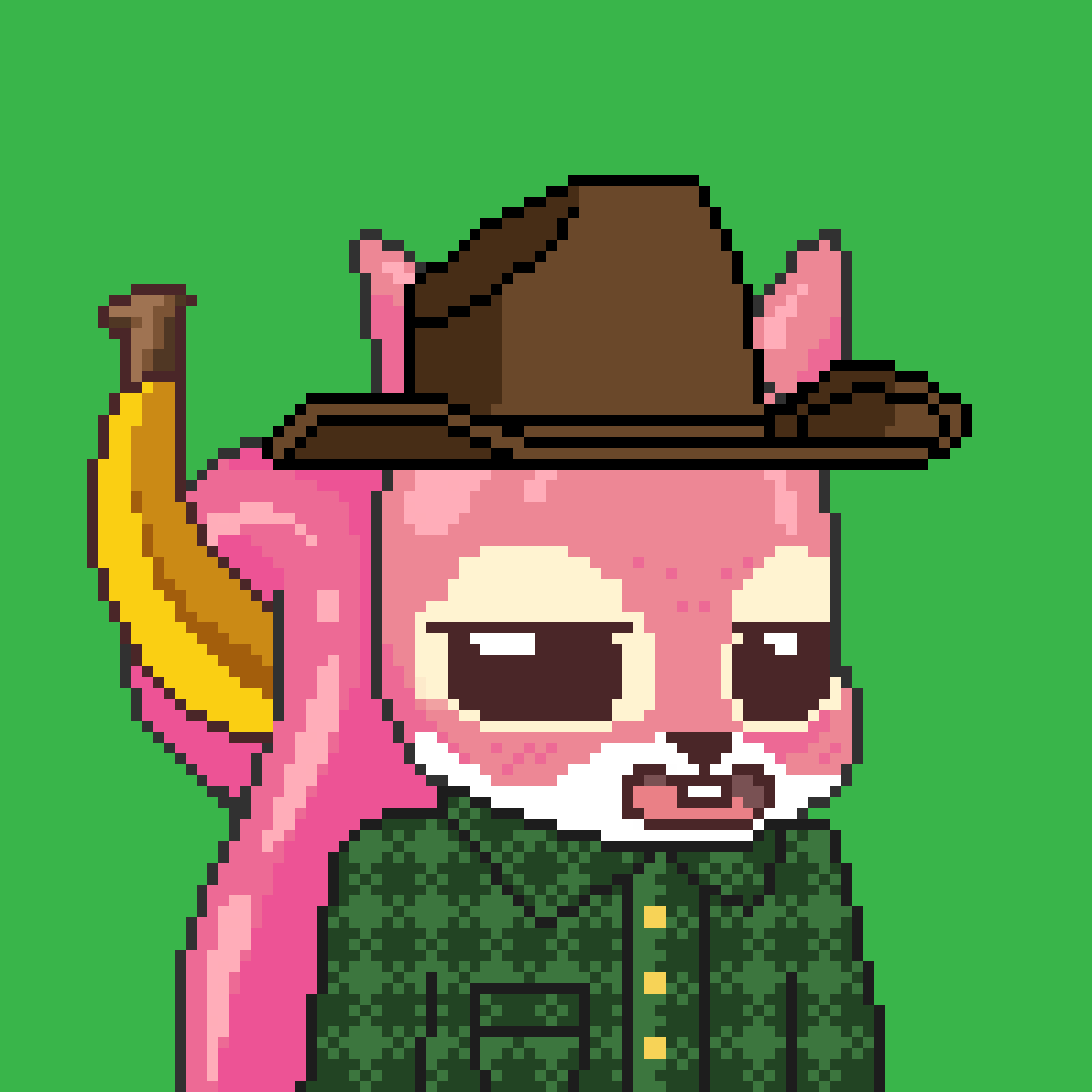 Pixel Squirrels #5343 NFT on Algorand