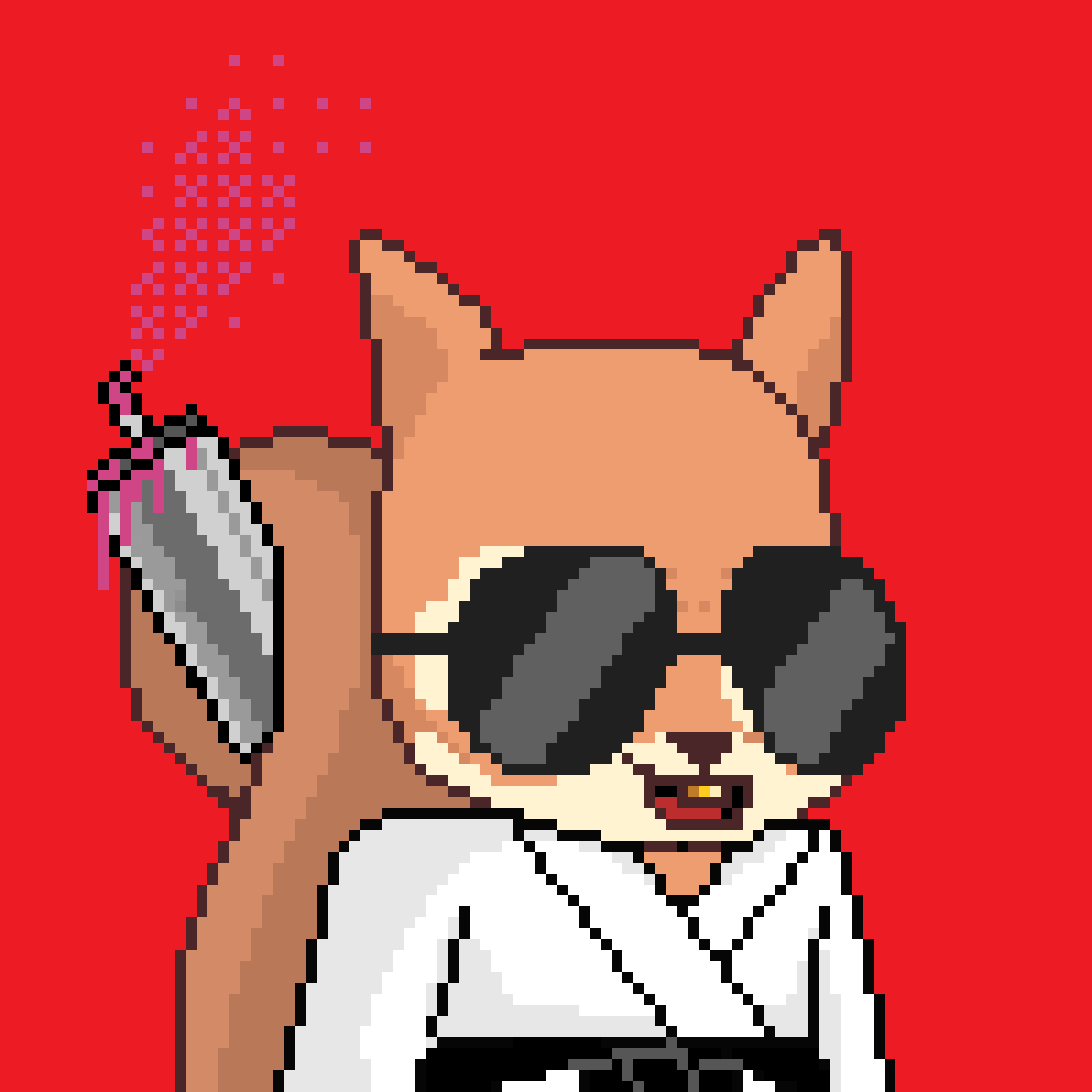 Pixel Squirrels #5569 NFT on Algorand