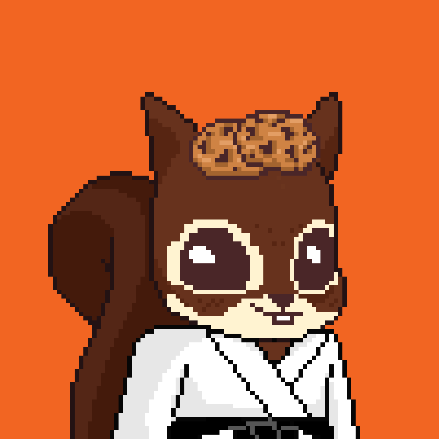 Pixel Squirrels #5658 NFT on Algorand