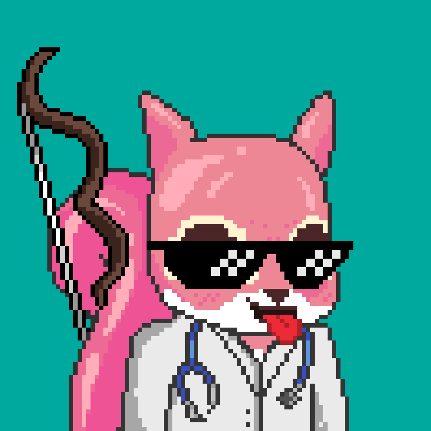 Pixel Squirrels #5862 NFT on Algorand