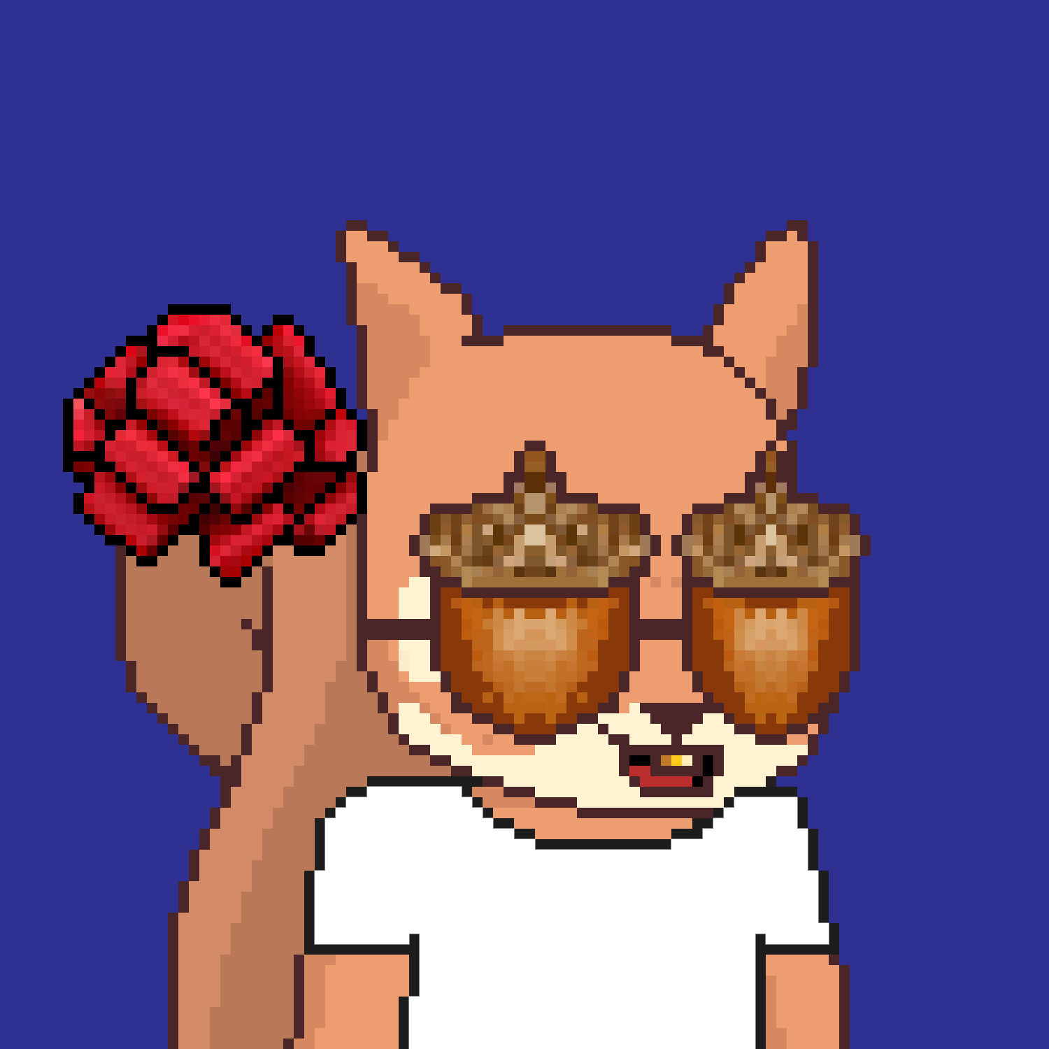 Pixel Squirrels #5941 NFT on Algorand