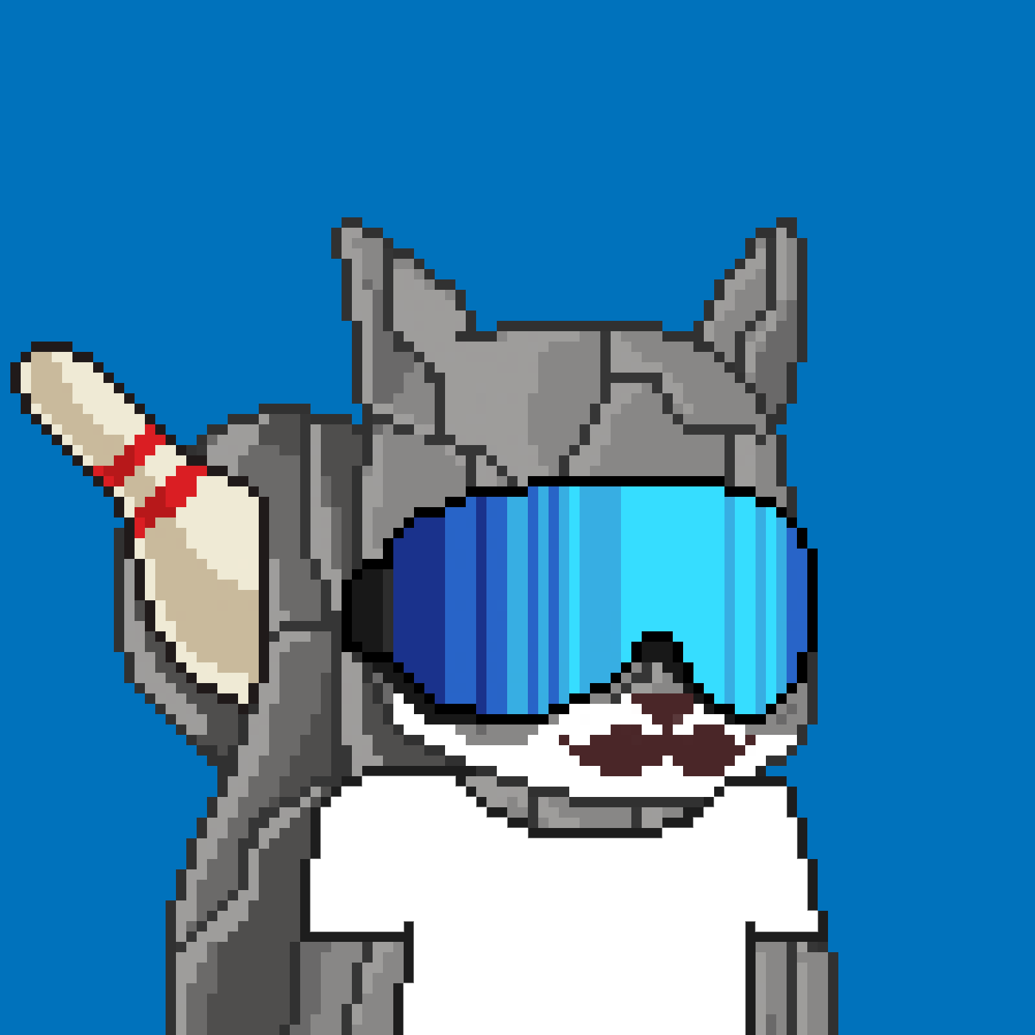 Pixel Squirrels #5950 NFT on Algorand