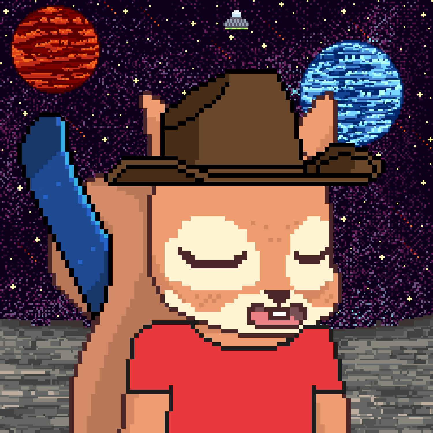 Pixel Squirrels #5991 NFT on Algorand