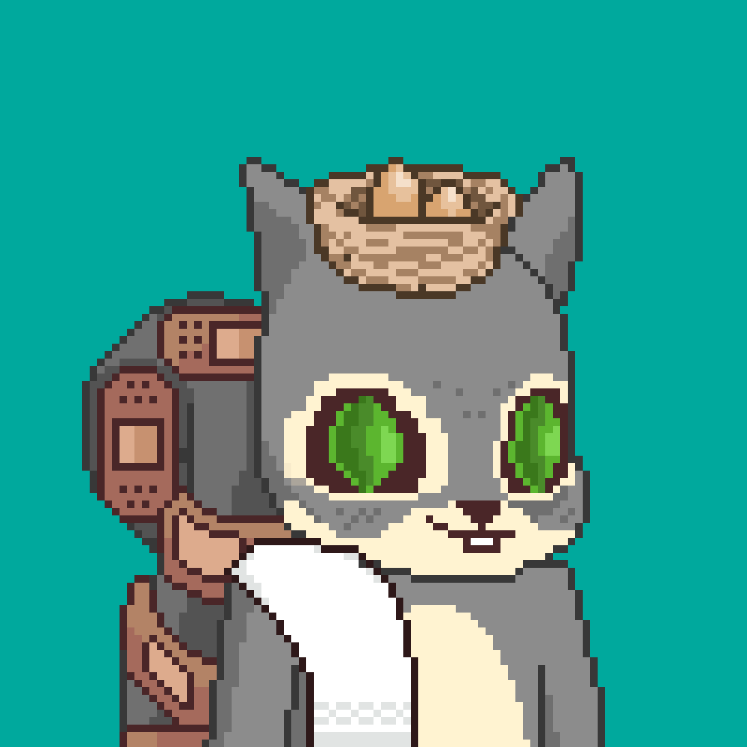 Pixel Squirrels #6163 NFT on Algorand