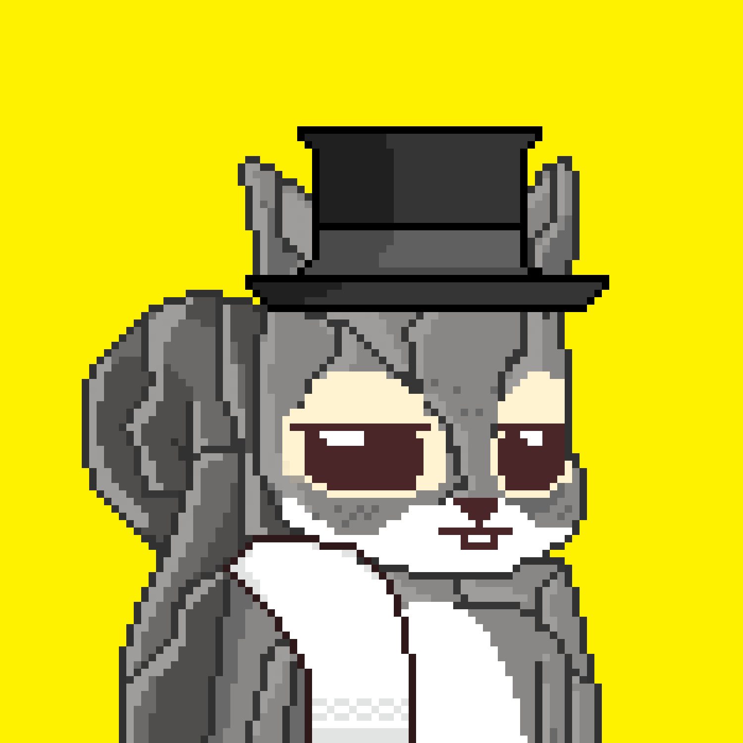 Pixel Squirrels #63 NFT on Algorand