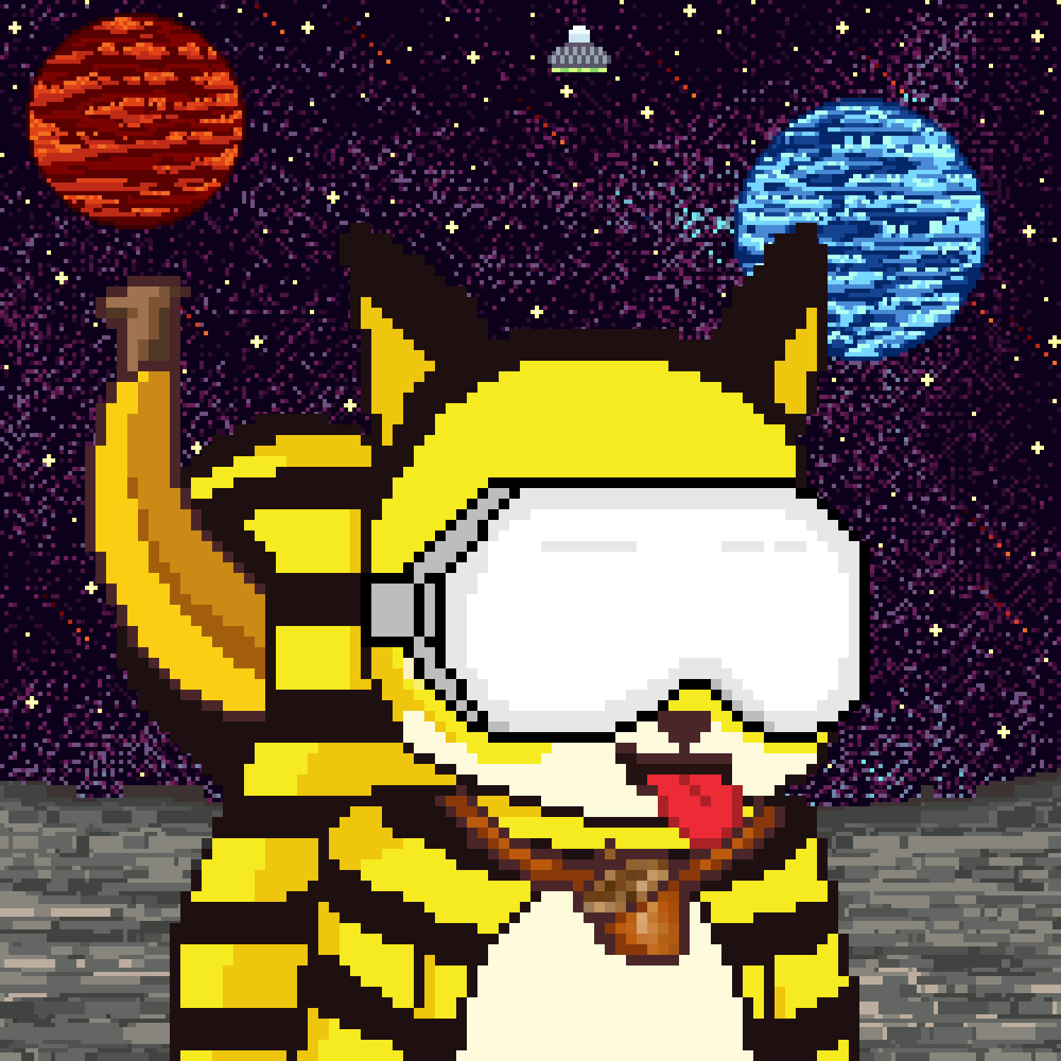 Pixel Squirrels #643 NFT on Algorand